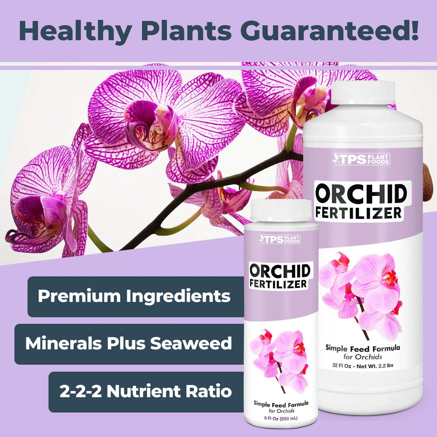 How to use and apply Orchid Plant Food
