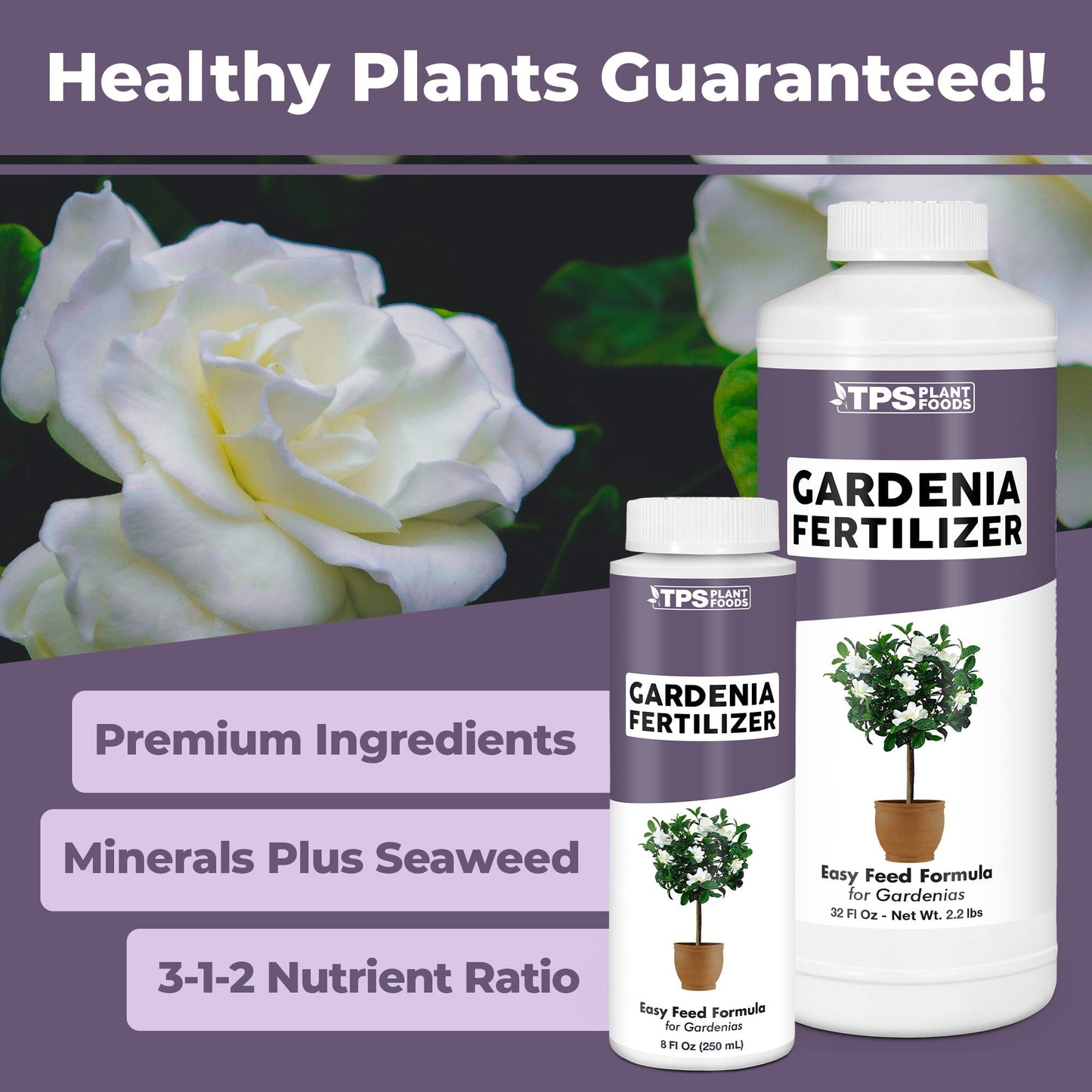 How to use and apply Gardenia Fertilizer