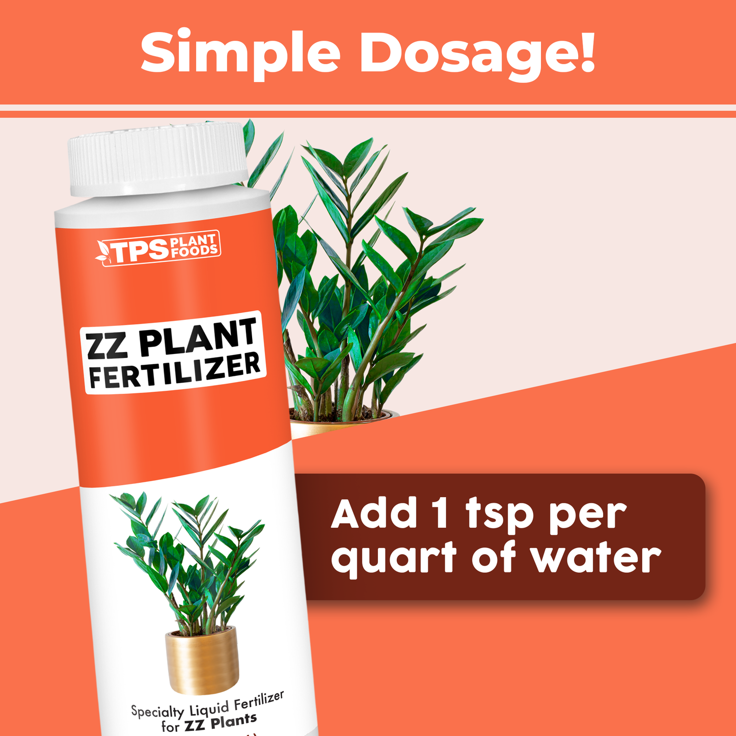 ZZ Plant Fertilizer formula, features, and plant care details