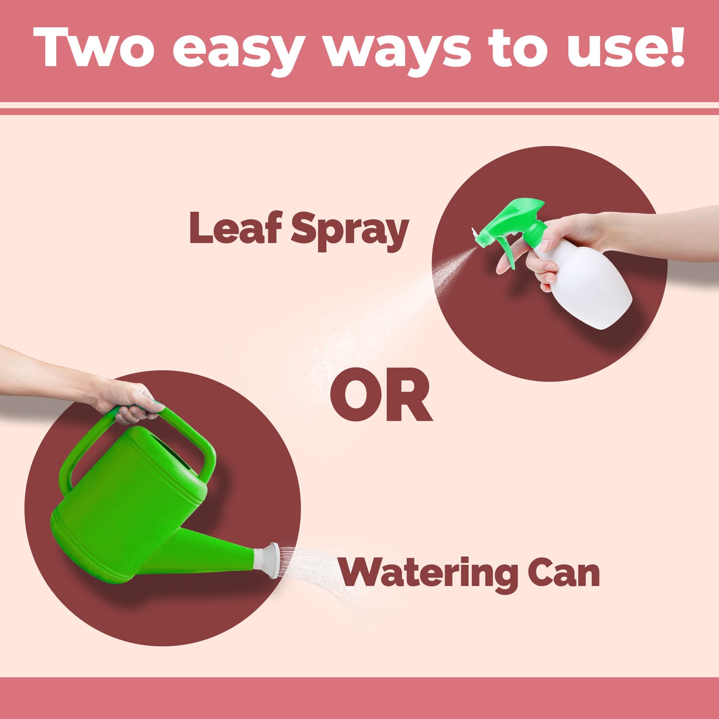 Christmas Cactus Fertilizer