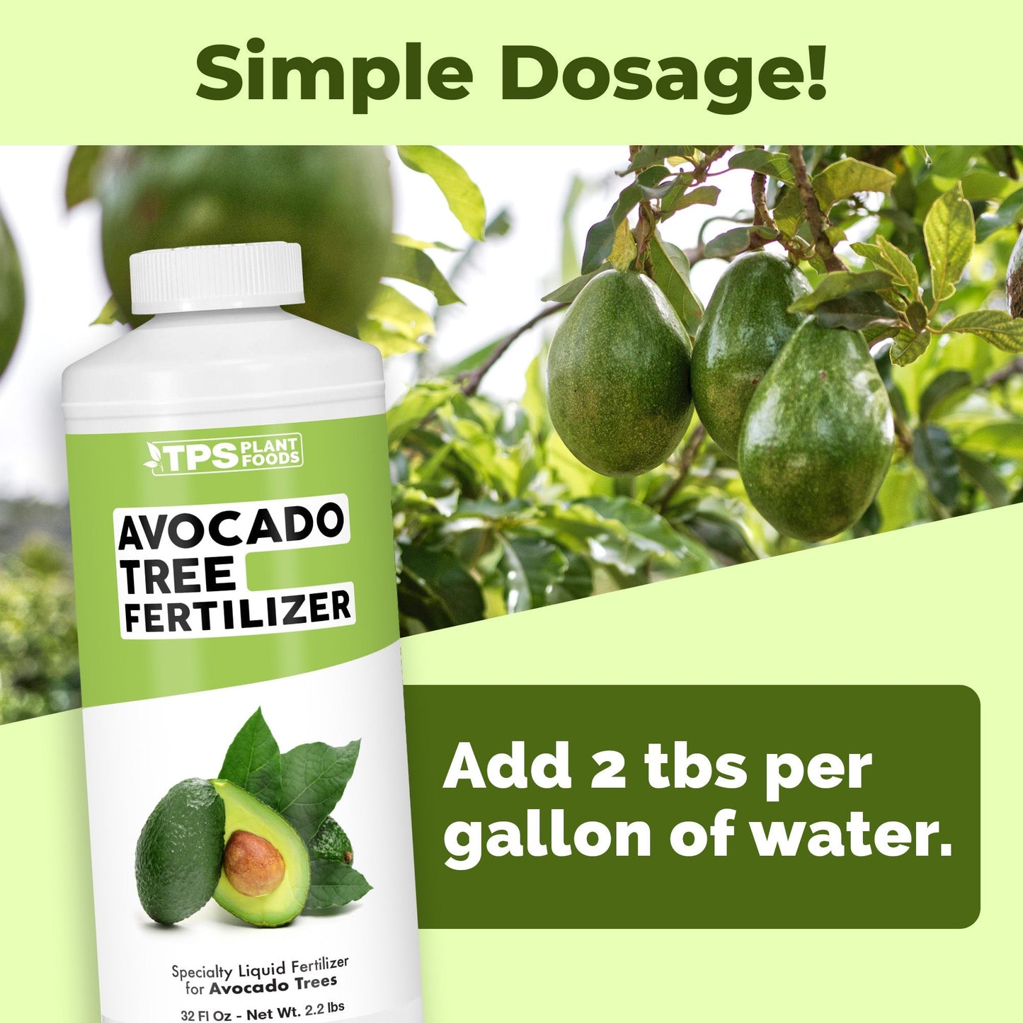 Key benefits and healthy growth features of Avocado Tree Fertilizer