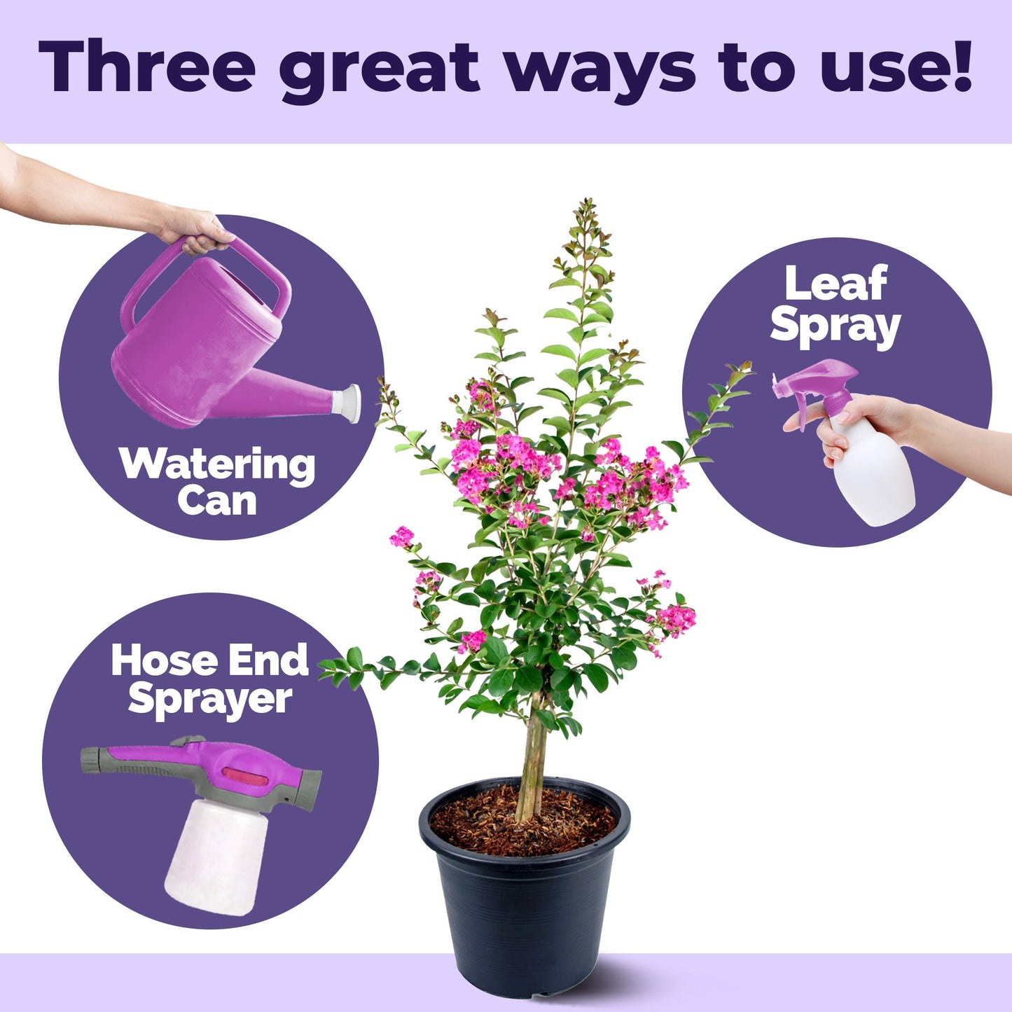 How to use and apply Crepe Myrtle Fertilizer