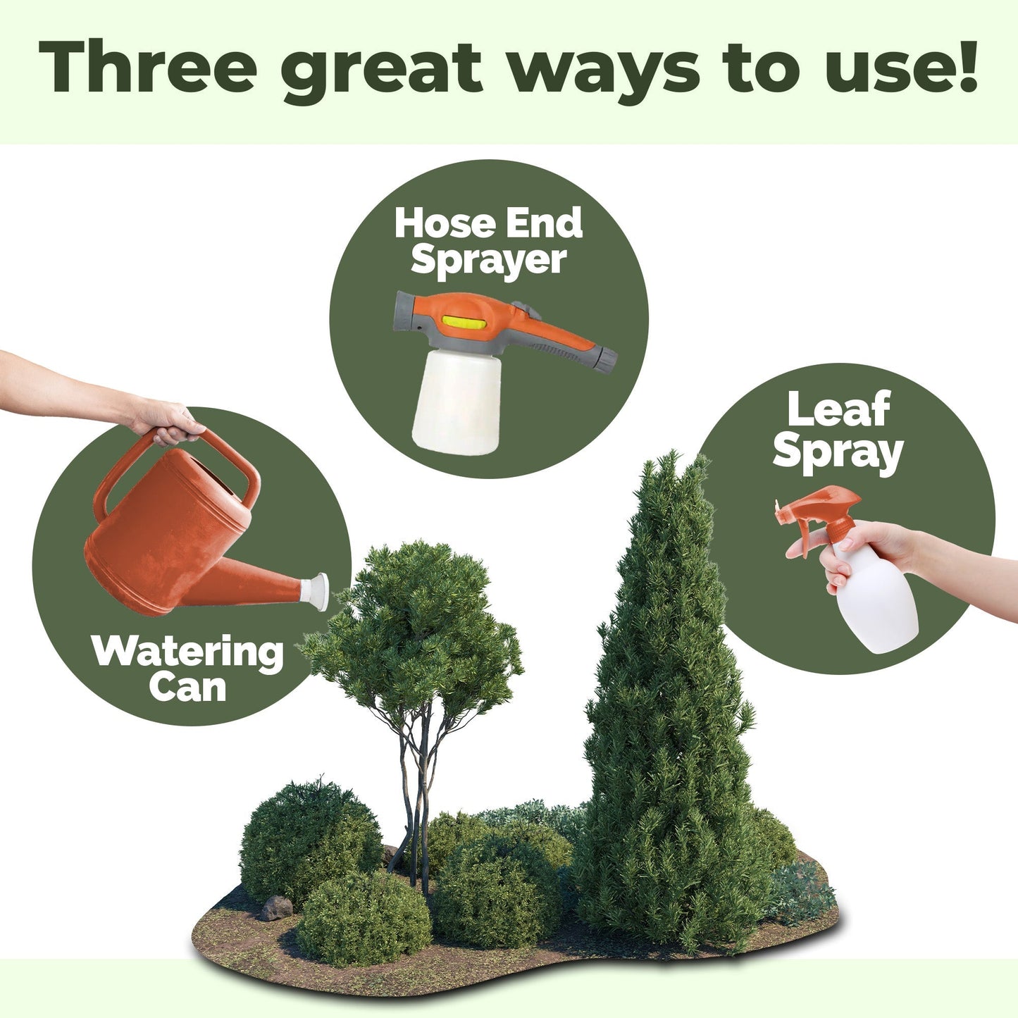 How to use and apply Tree And Shrub Fertilizer