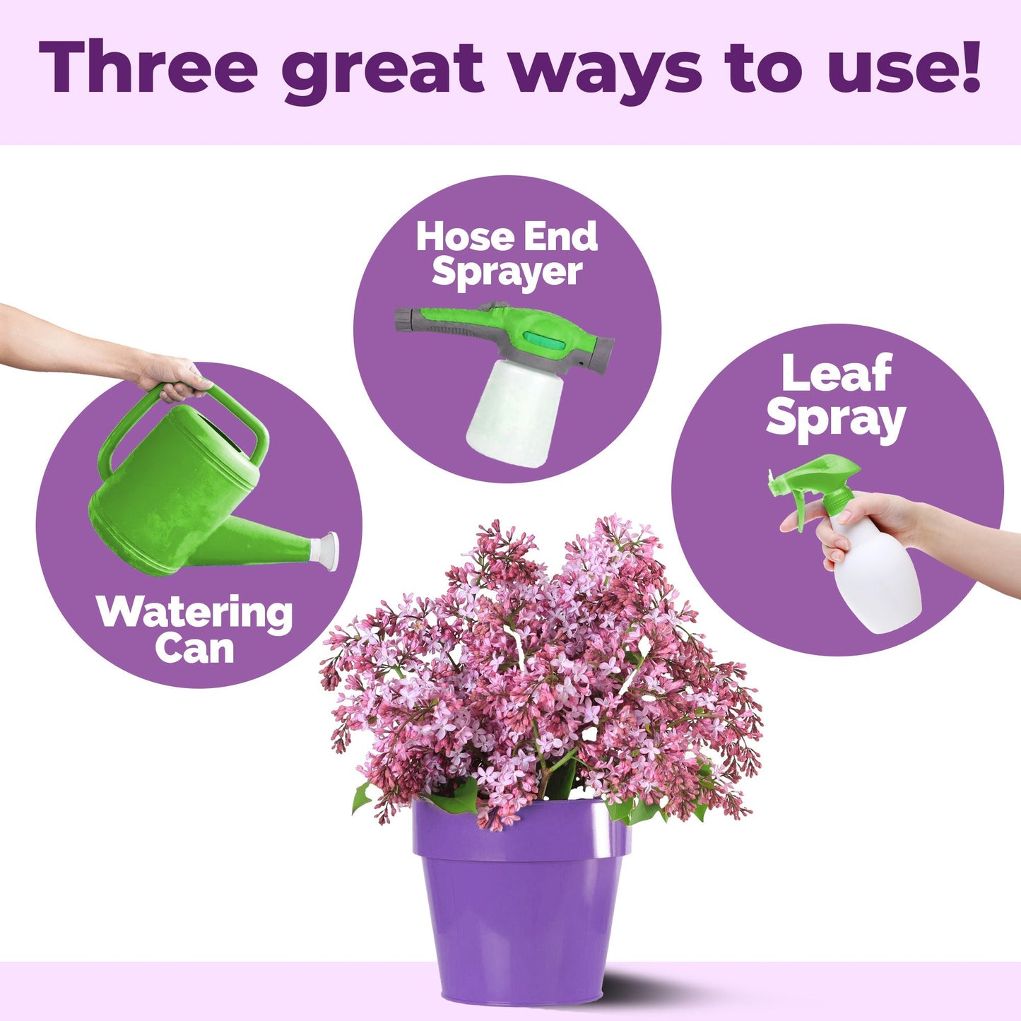 How to use and apply Lilac Bush Fertilizer