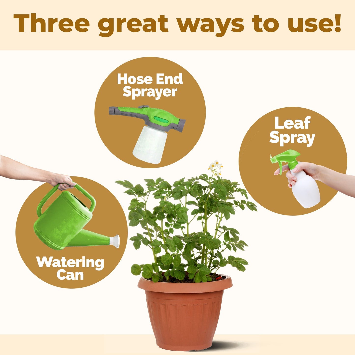 How to use and apply Potato Fertilizer