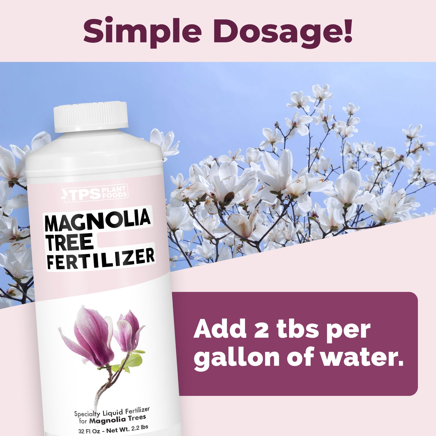 Magnolia Tree Fertilizer