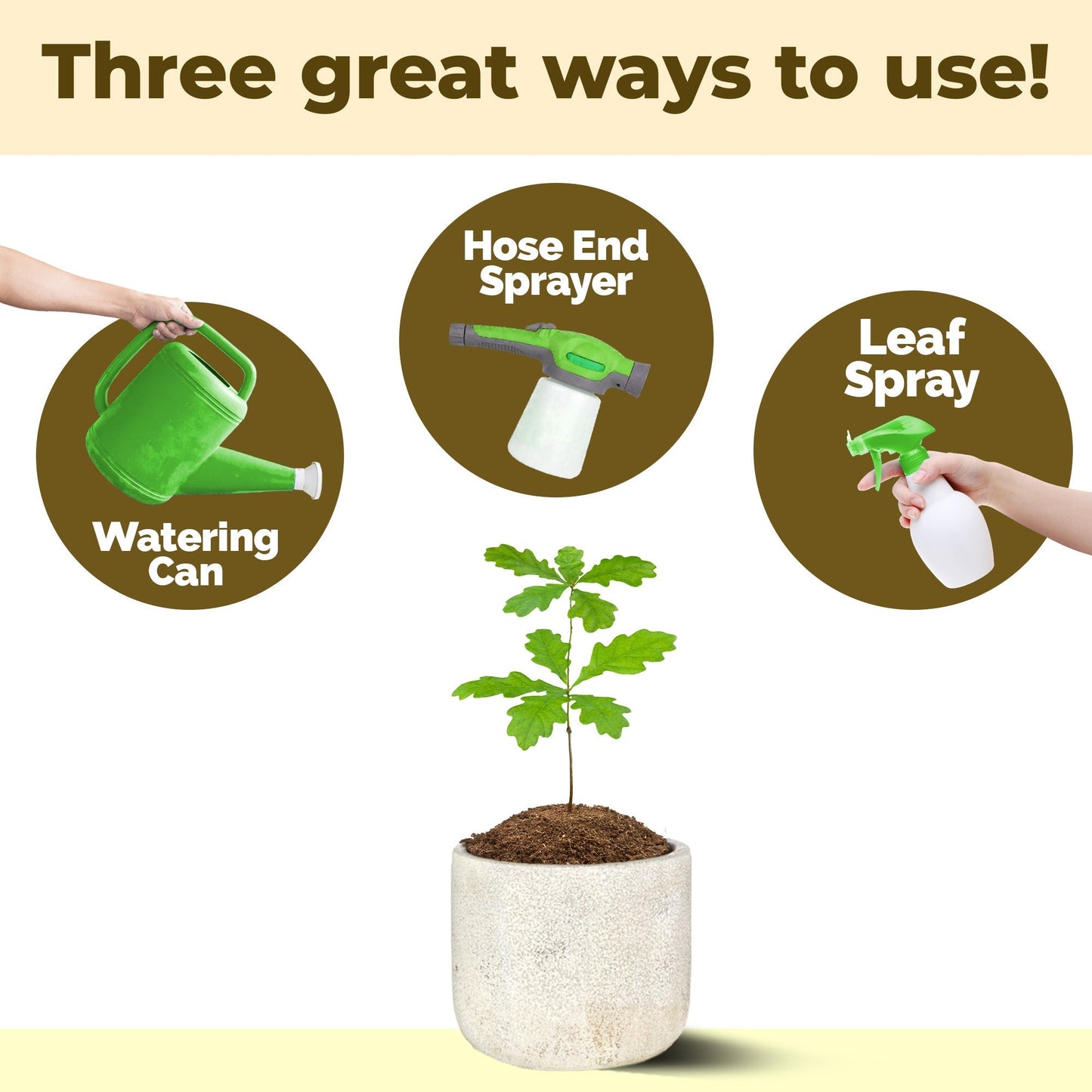 How to use and apply Oak Tree Fertilizer