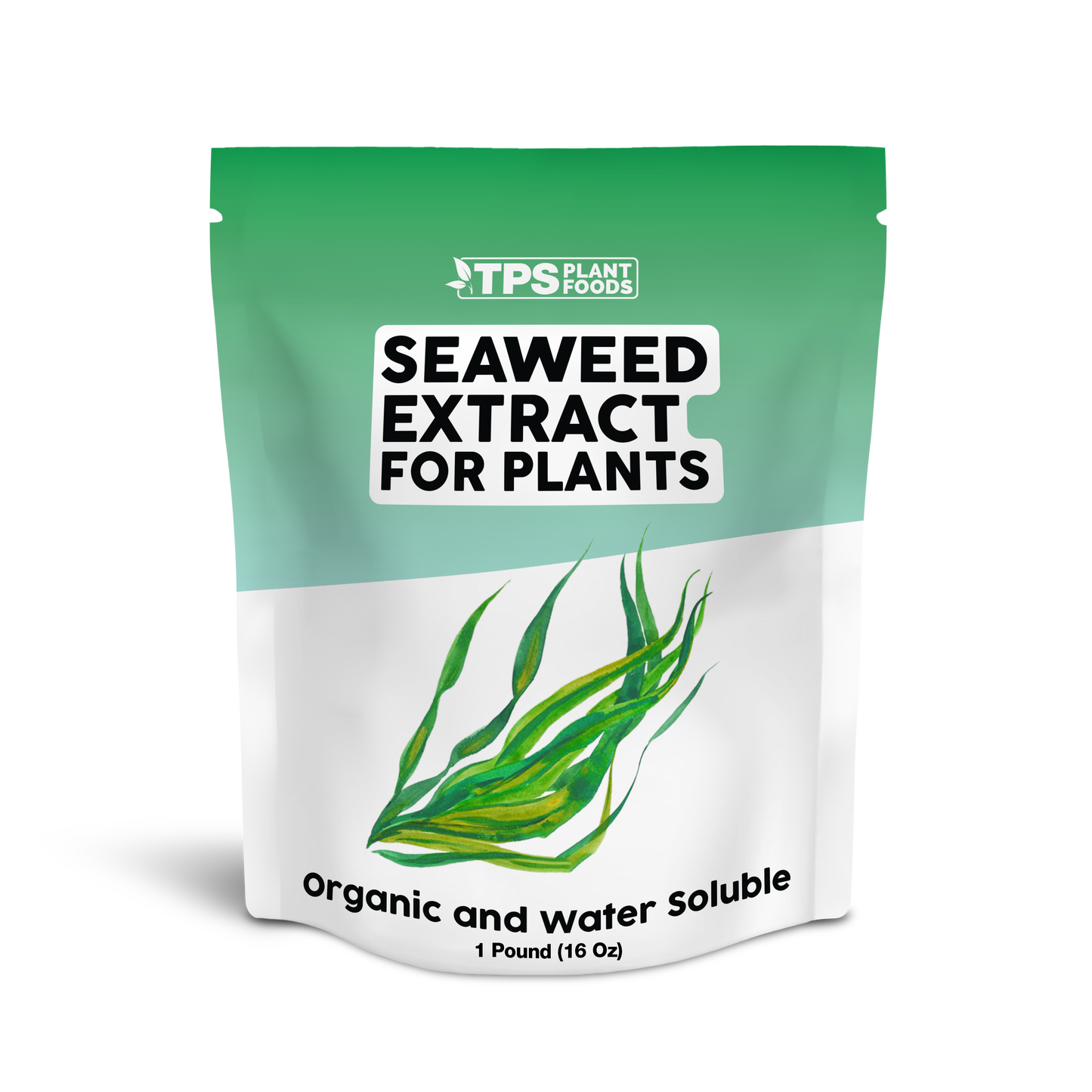 Seaweed Extract for Plants