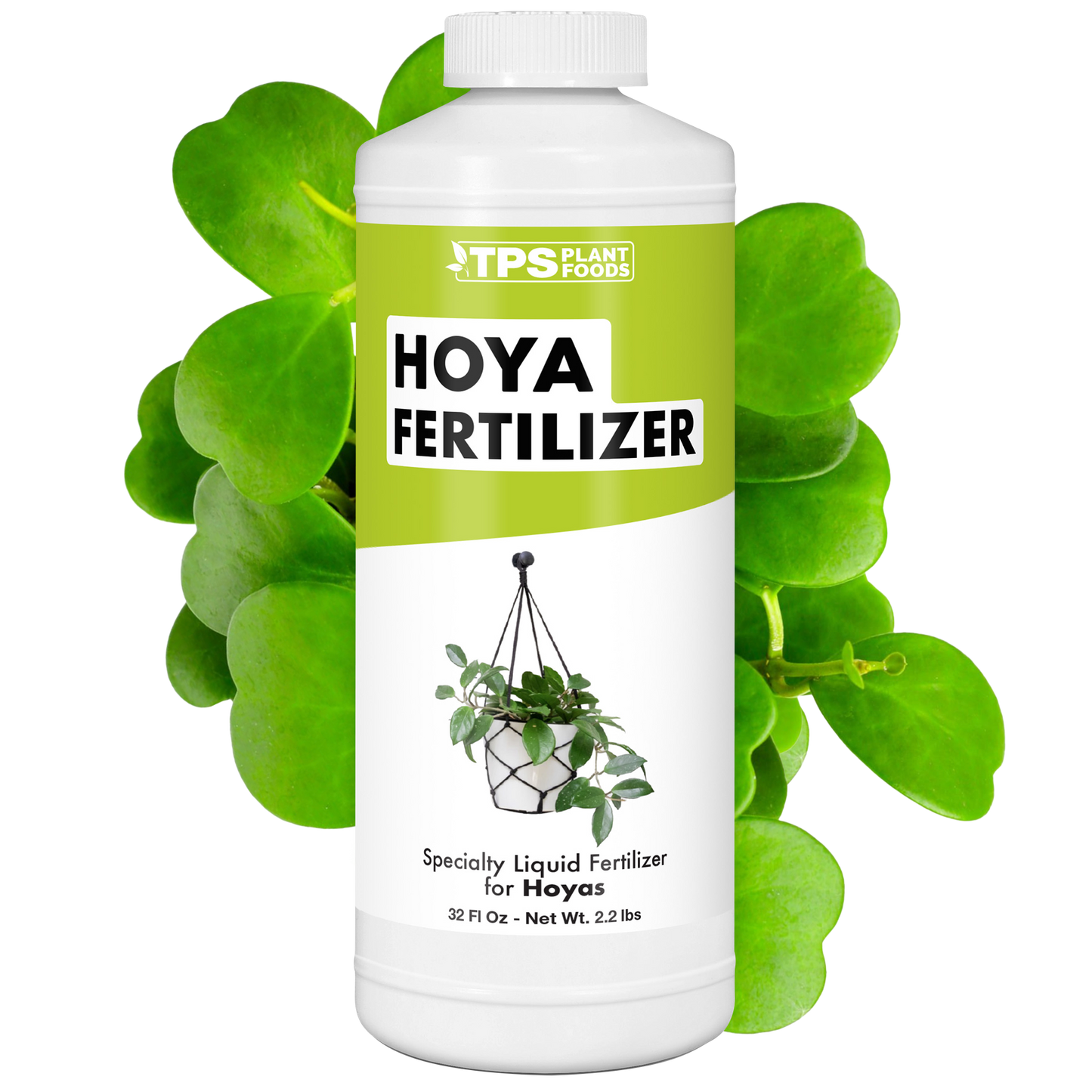 Hoya Fertilizer