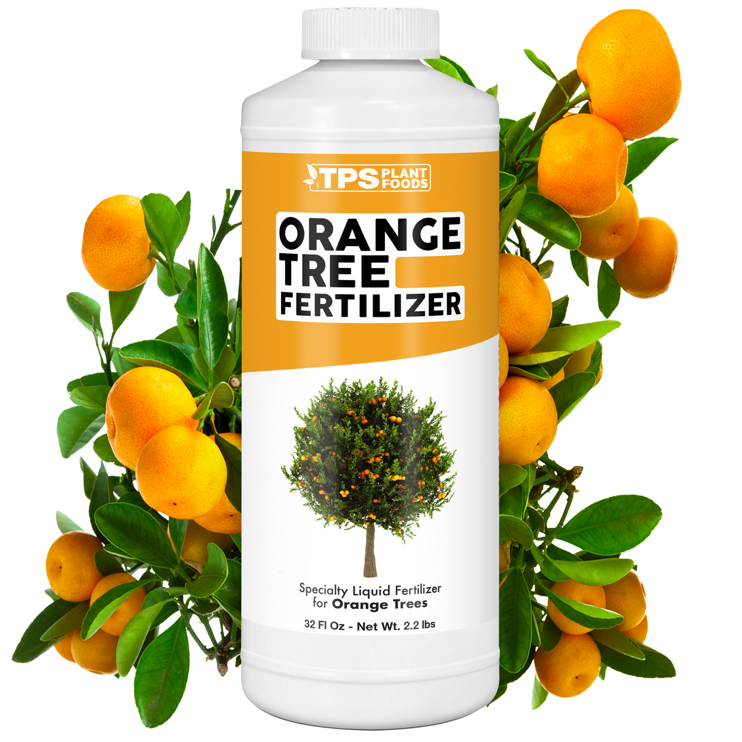 Orange Tree Fertilizer