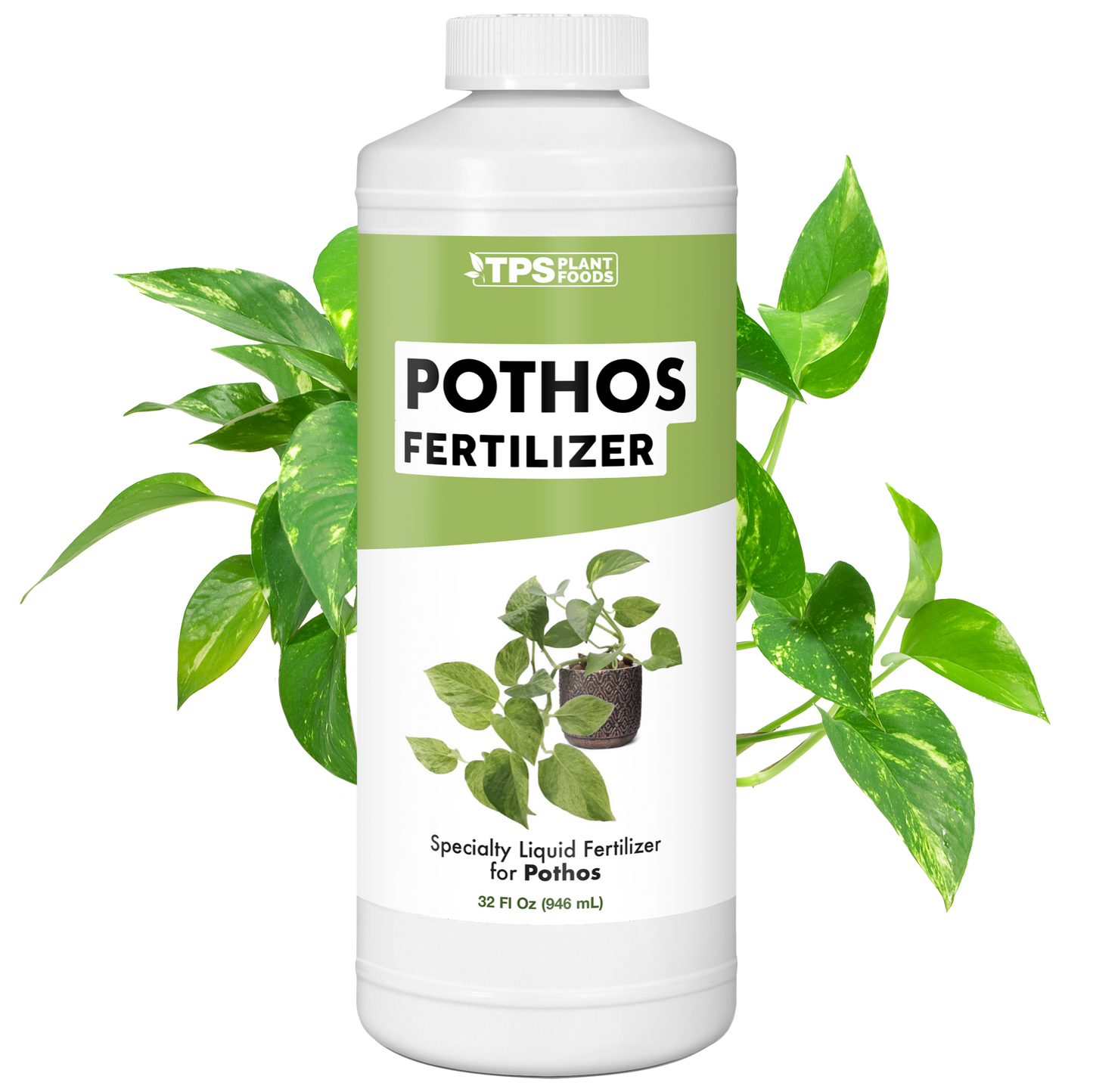 Pothos Fertilizer