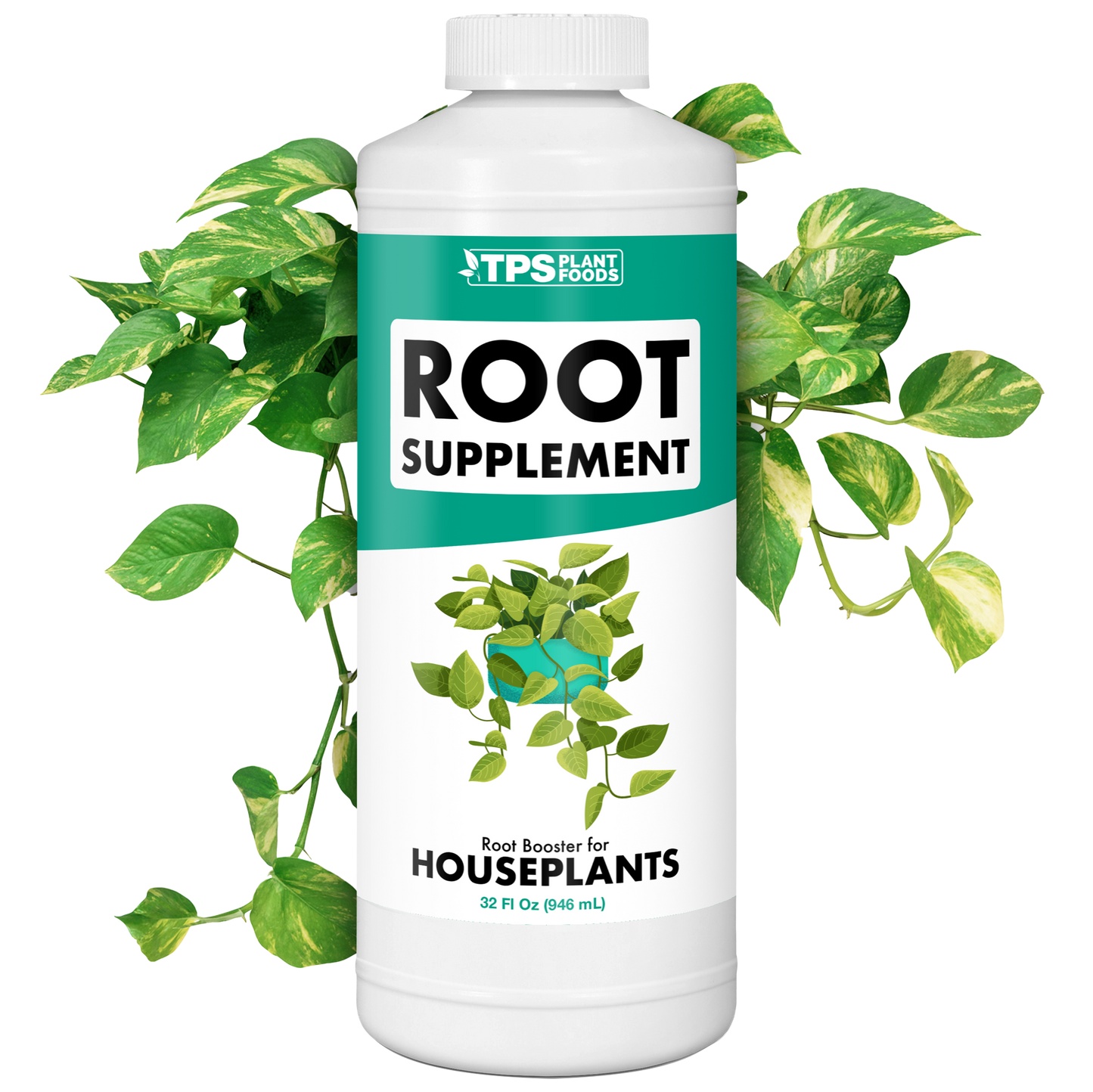 How to mix and apply Houseplant Root Supplement