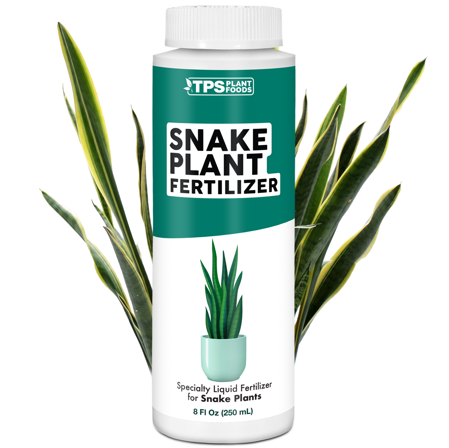 Snake Plant Fertilizer