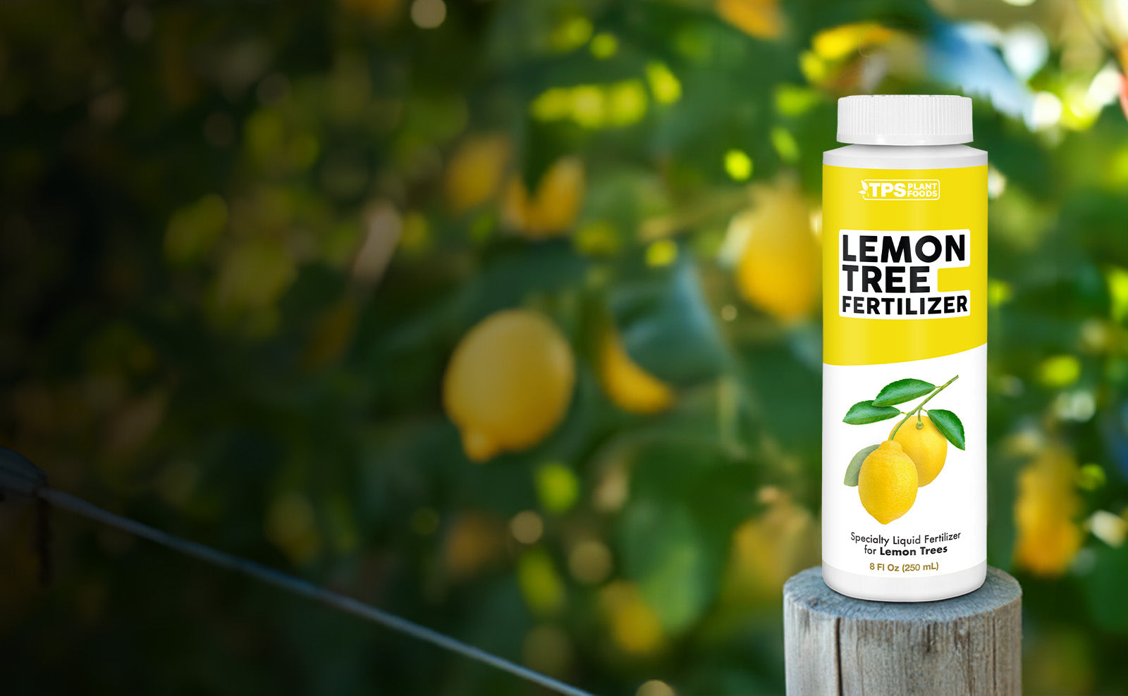 How to Grow Lemon Trees – TPS Plant Foods