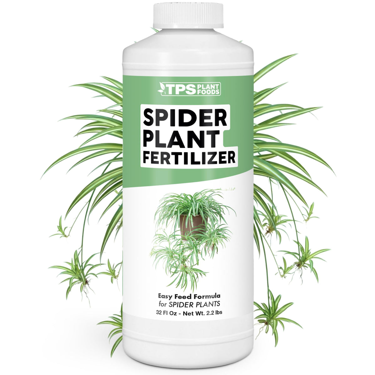Spider Plant Fertilizer - 32 Ounce