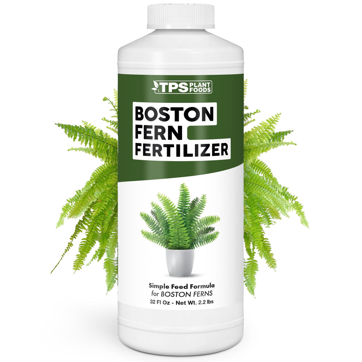 Boston Fern Fertilizer - 32 Ounce