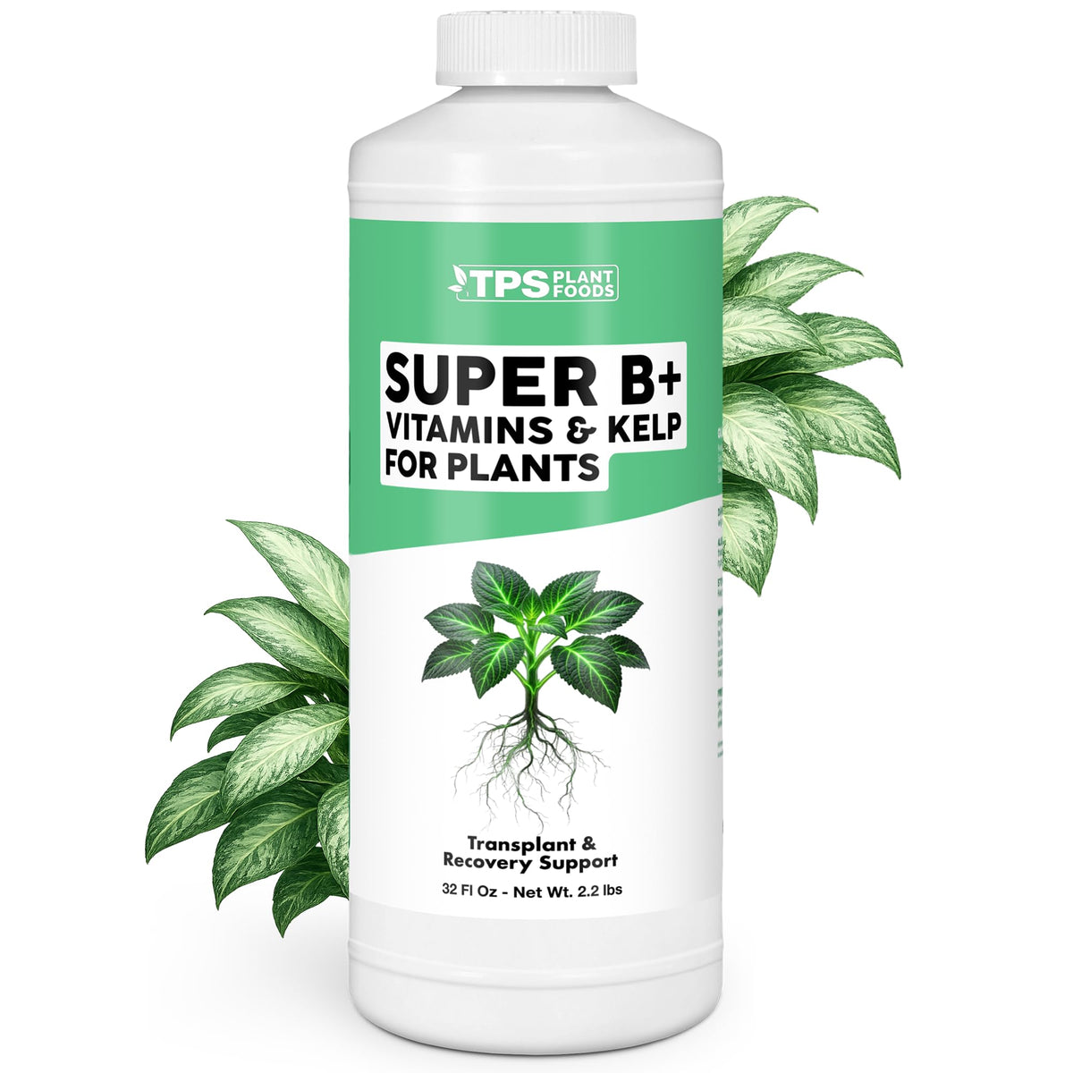 B+ Vitamins for Plants - 32 Ounce