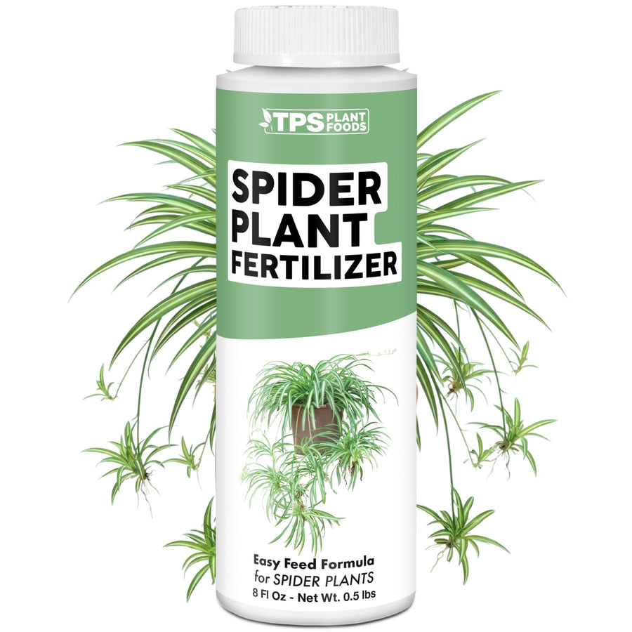 Spider Plant Fertilizer
