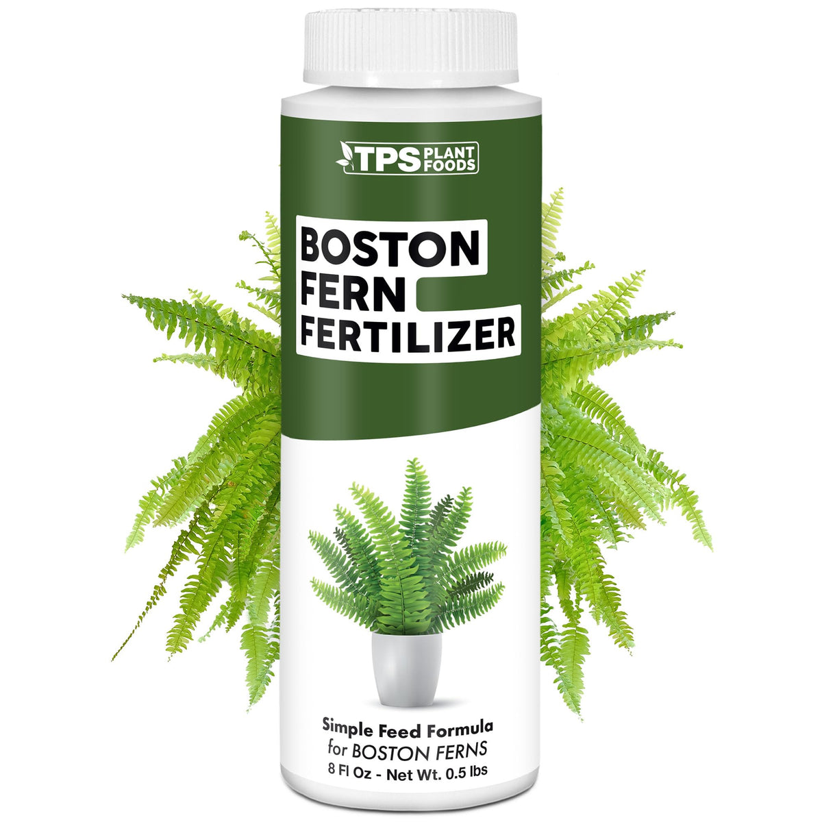 Boston Fern Fertilizer - 8 Ounce