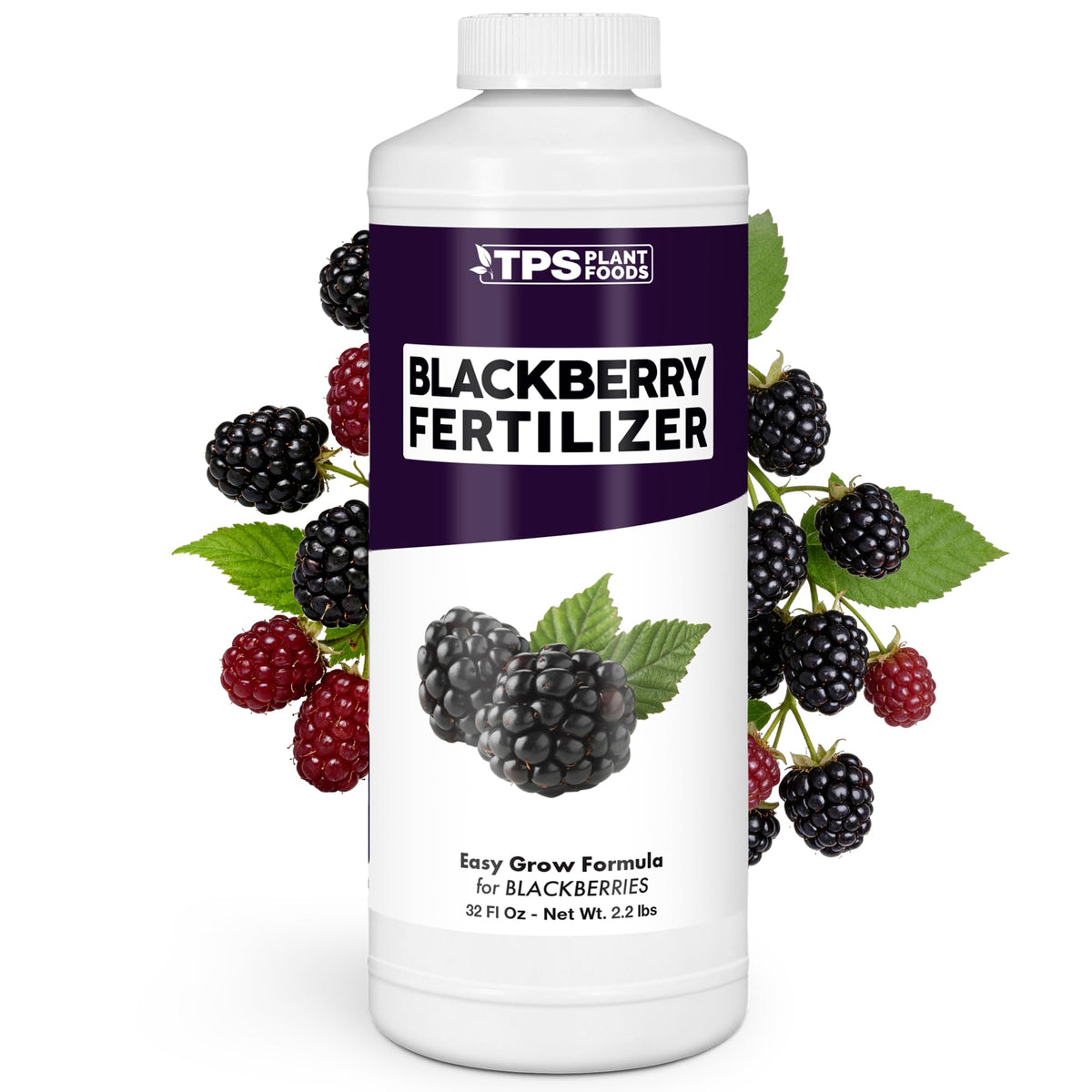 BlackBerry Fertilizer - 32 Ounce
