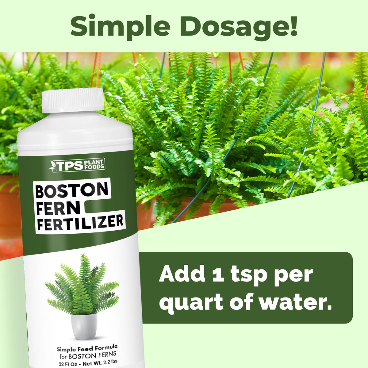 Boston Fern Fertilizer - 32 Ounce