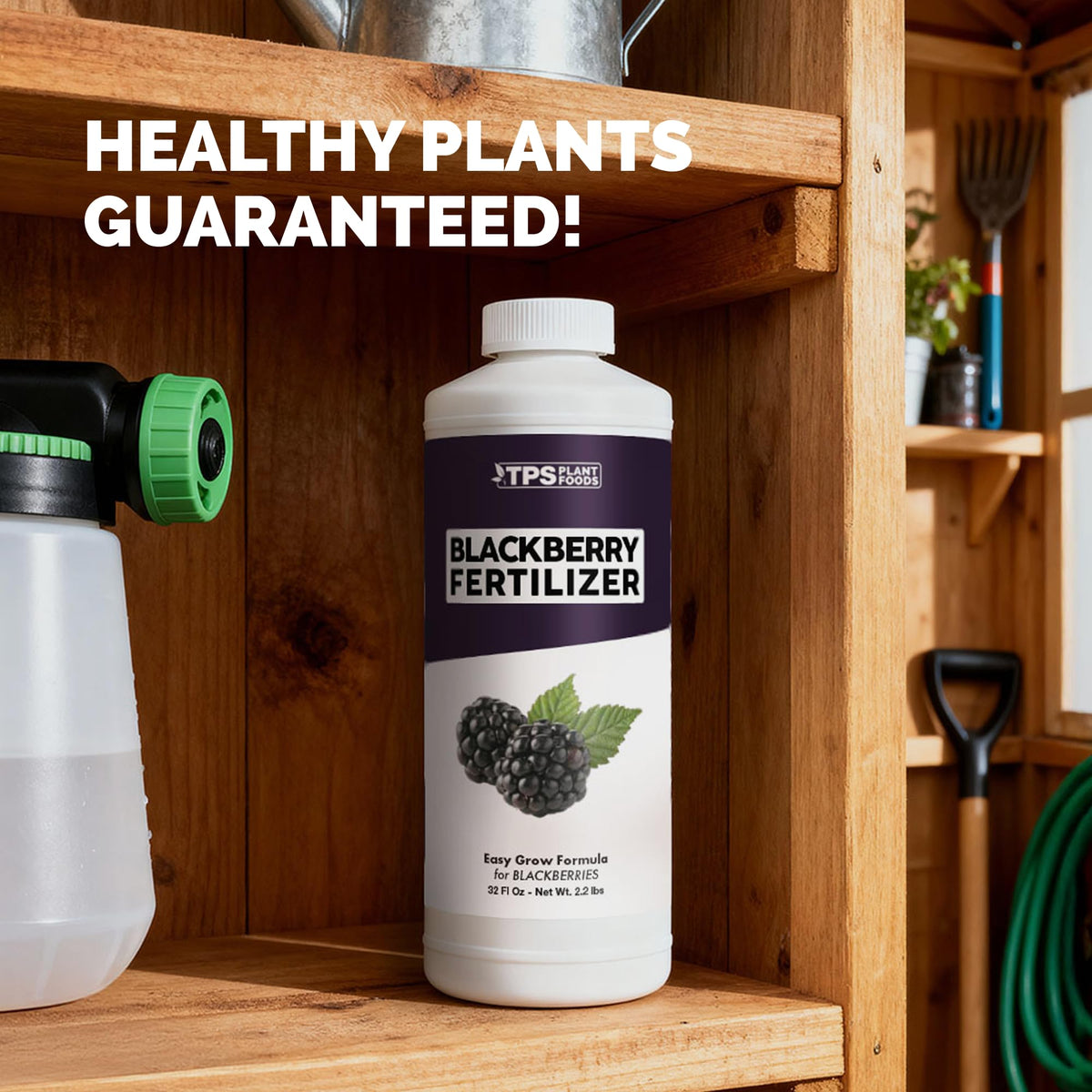 BlackBerry Fertilizer - 32 Ounce