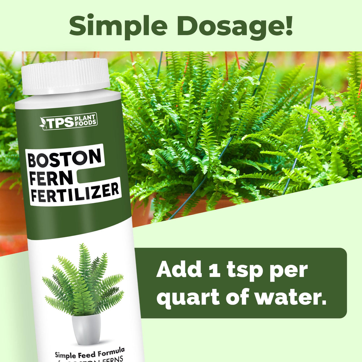Boston Fern Fertilizer - 32 Ounce