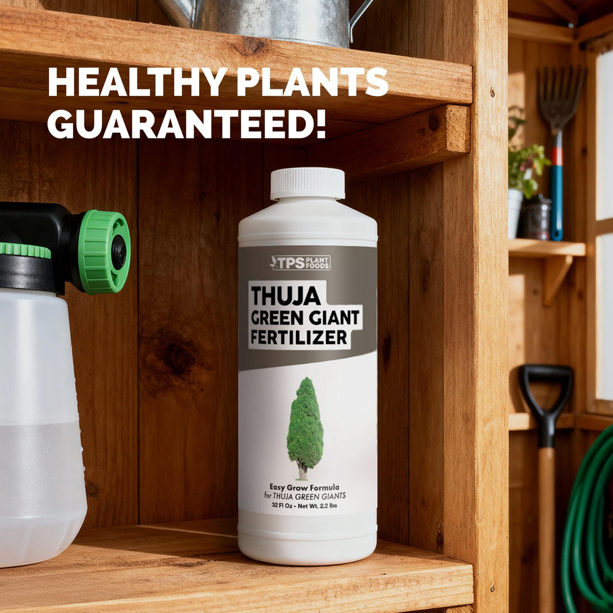 Thuja Green Giant Fertilizer - 32 Ounce