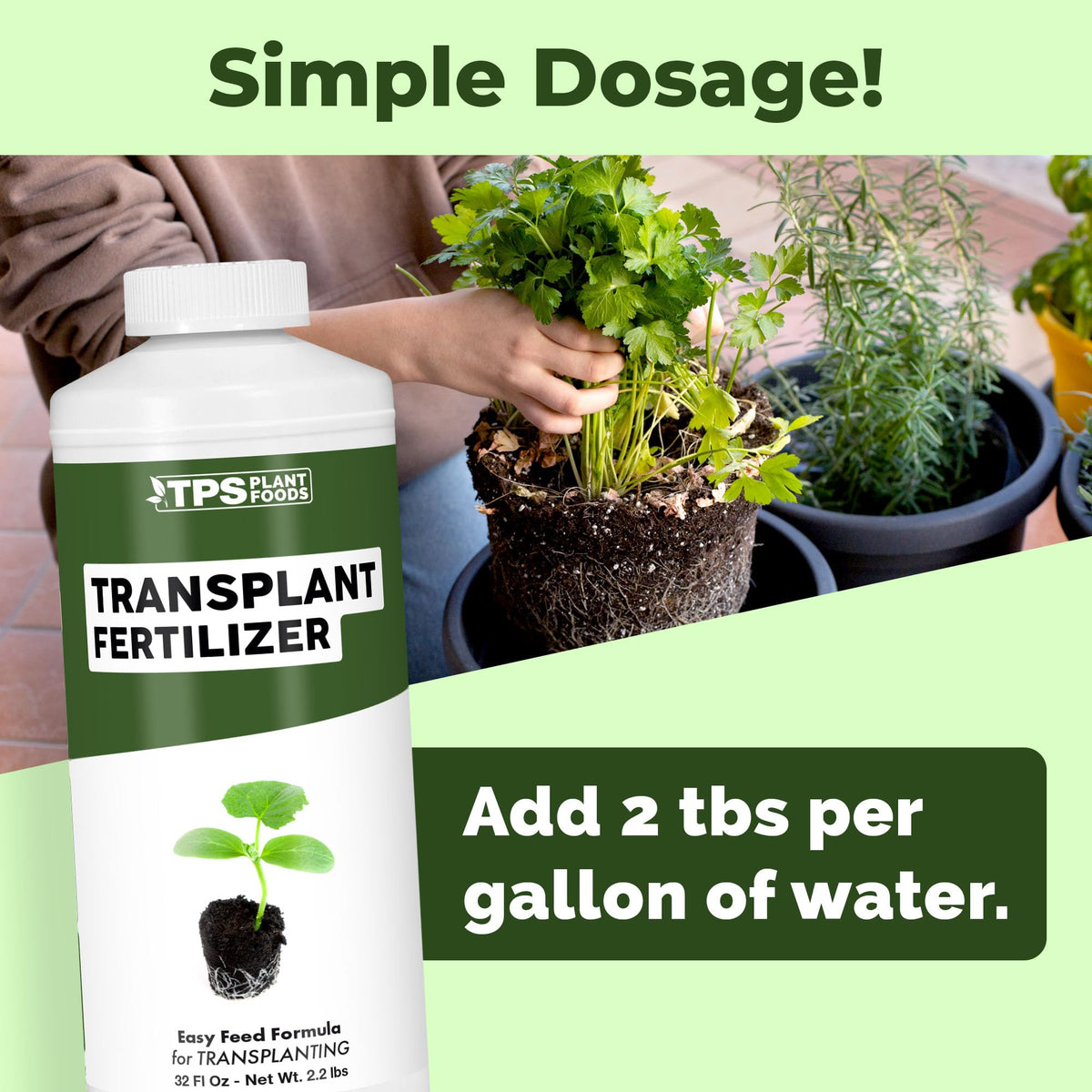 Transplant Fertilizer - 32 Ounce