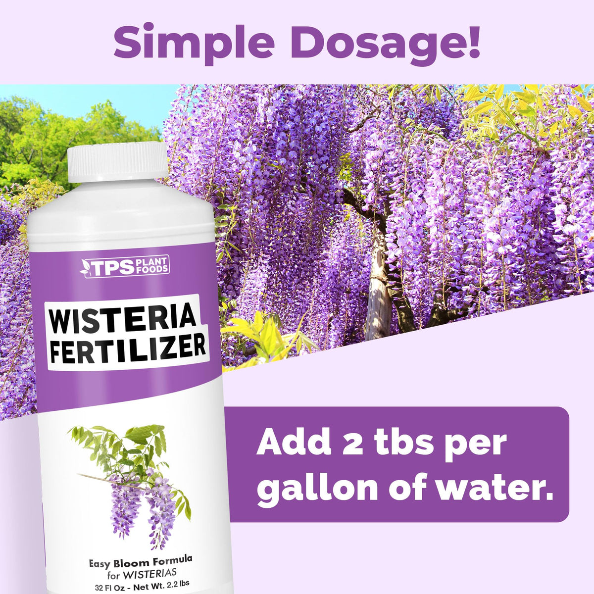 Wisteria Fertilizer - 8 Ounce