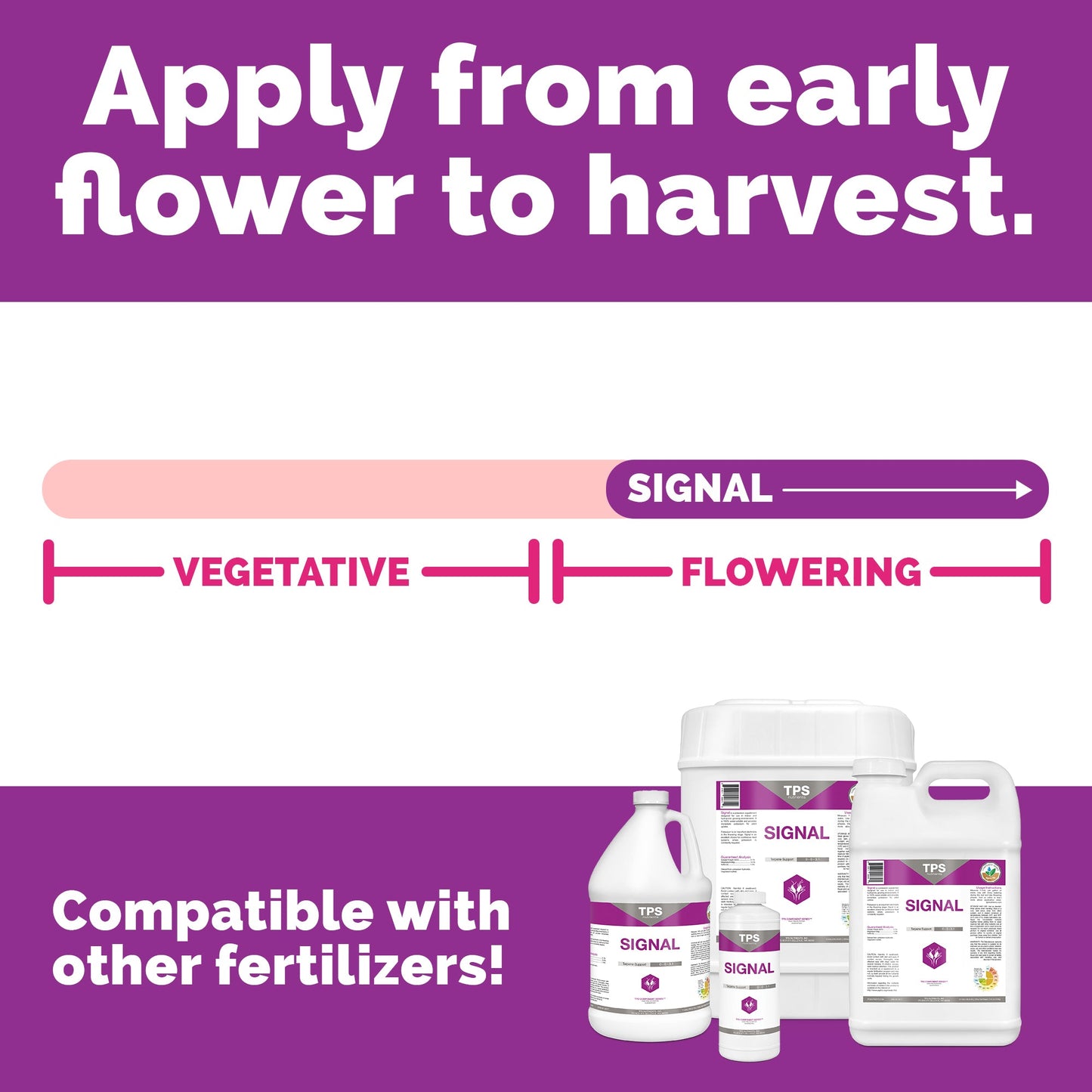 SIGNAL | Terpene Enhancer