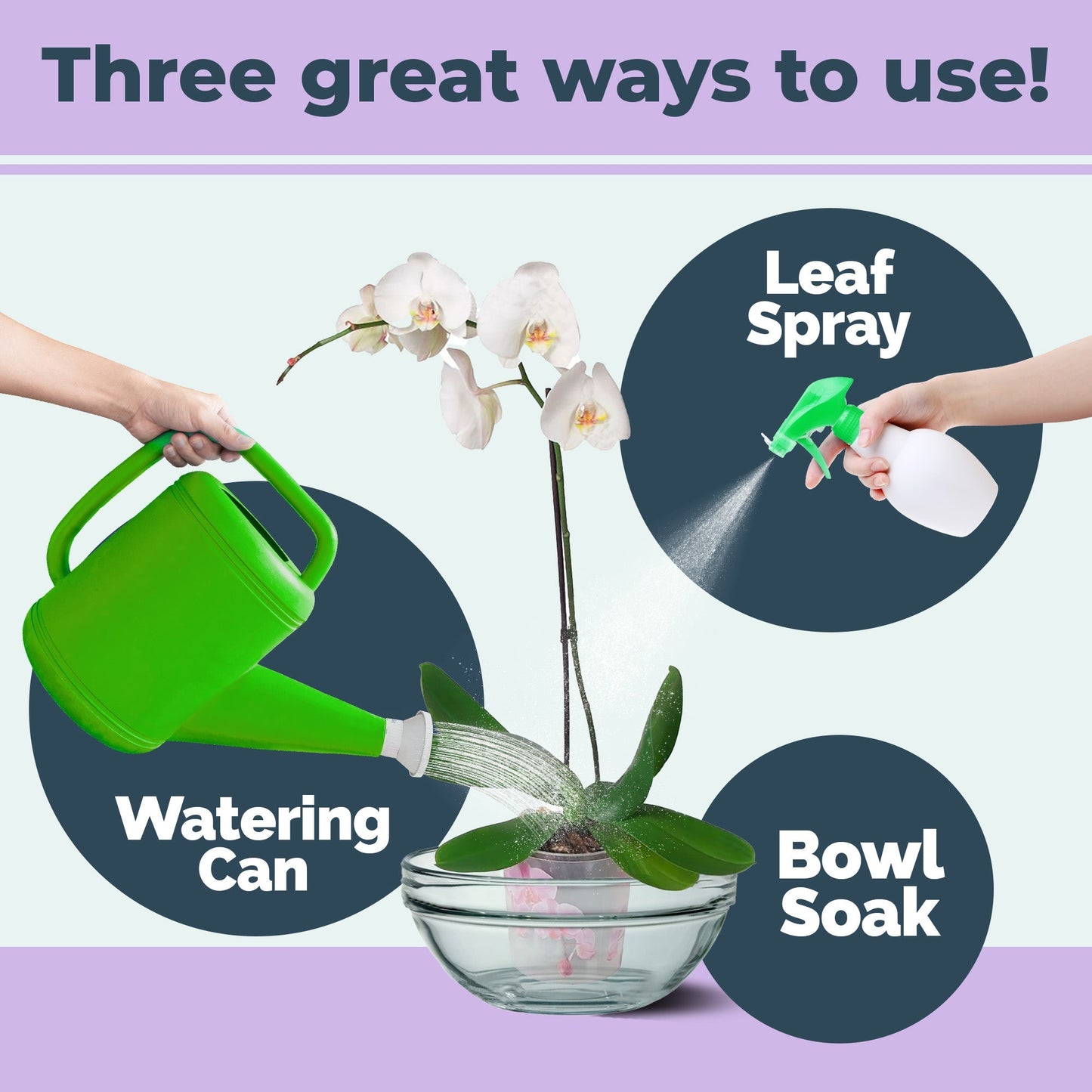 Orchid Plant Food product package shown with plants
