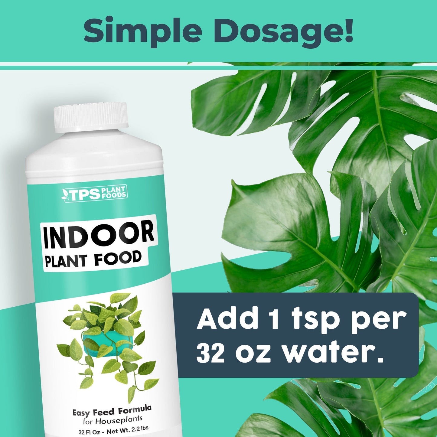 Key benefits and healthy growth features of Indoor Plant Food