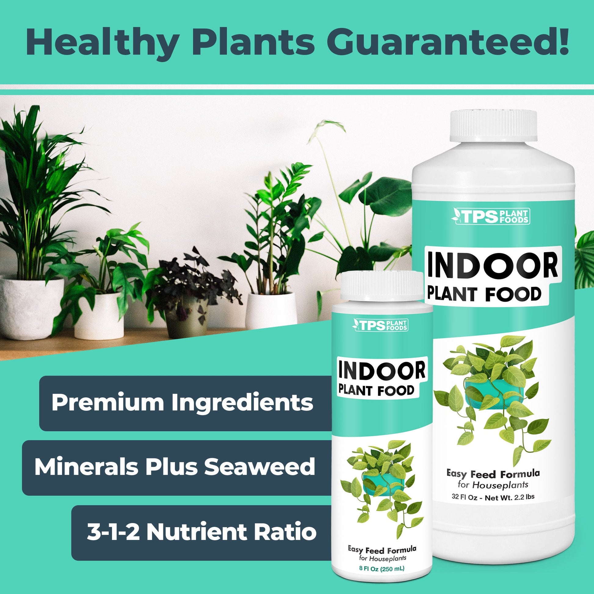 How to use and apply Indoor Plant Food