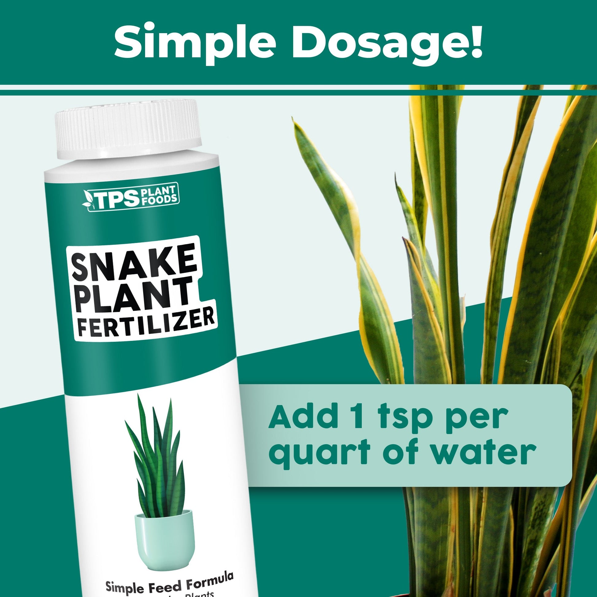 Key benefits and healthy growth features of Snake Plant Fertilizer