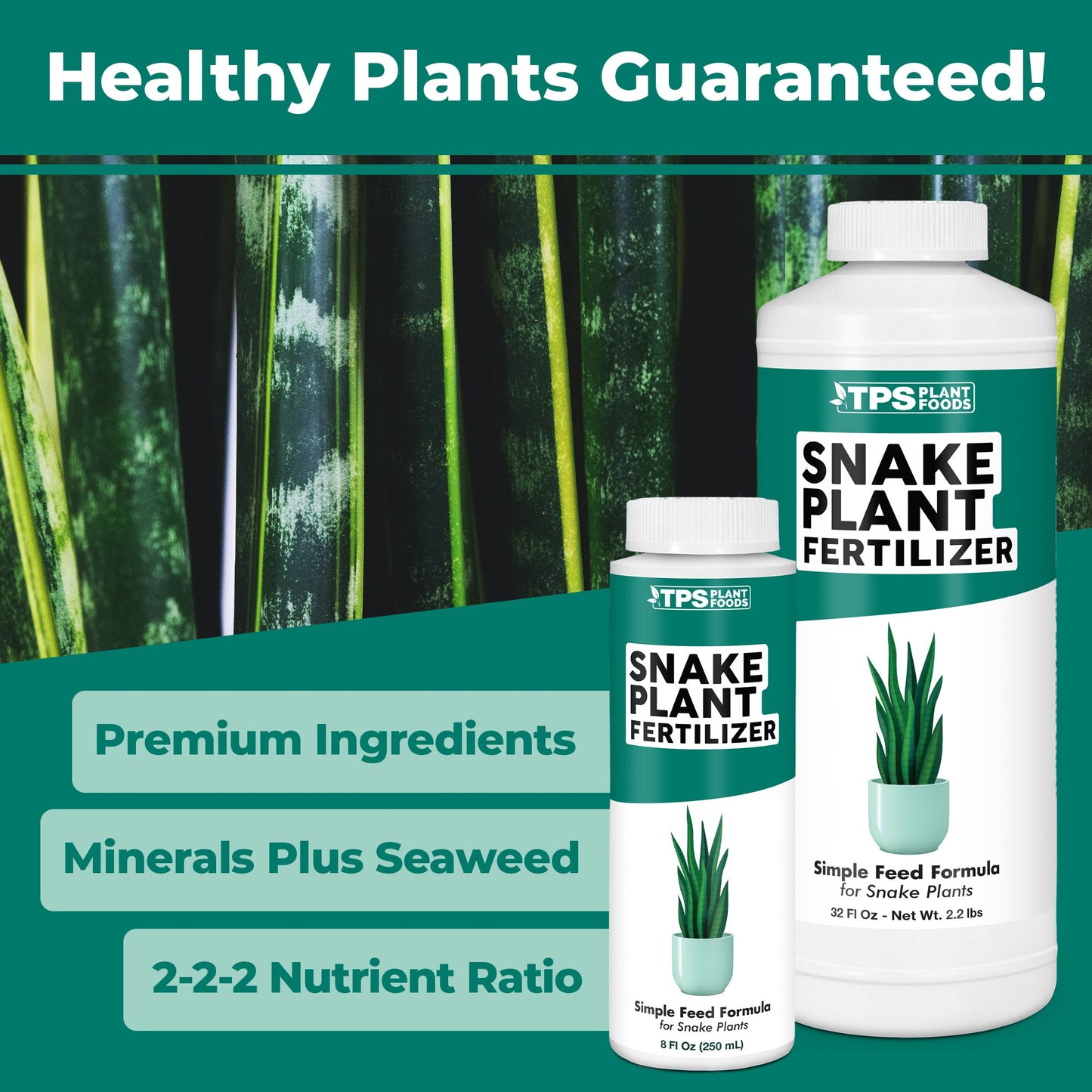 How to use and apply Snake Plant Fertilizer