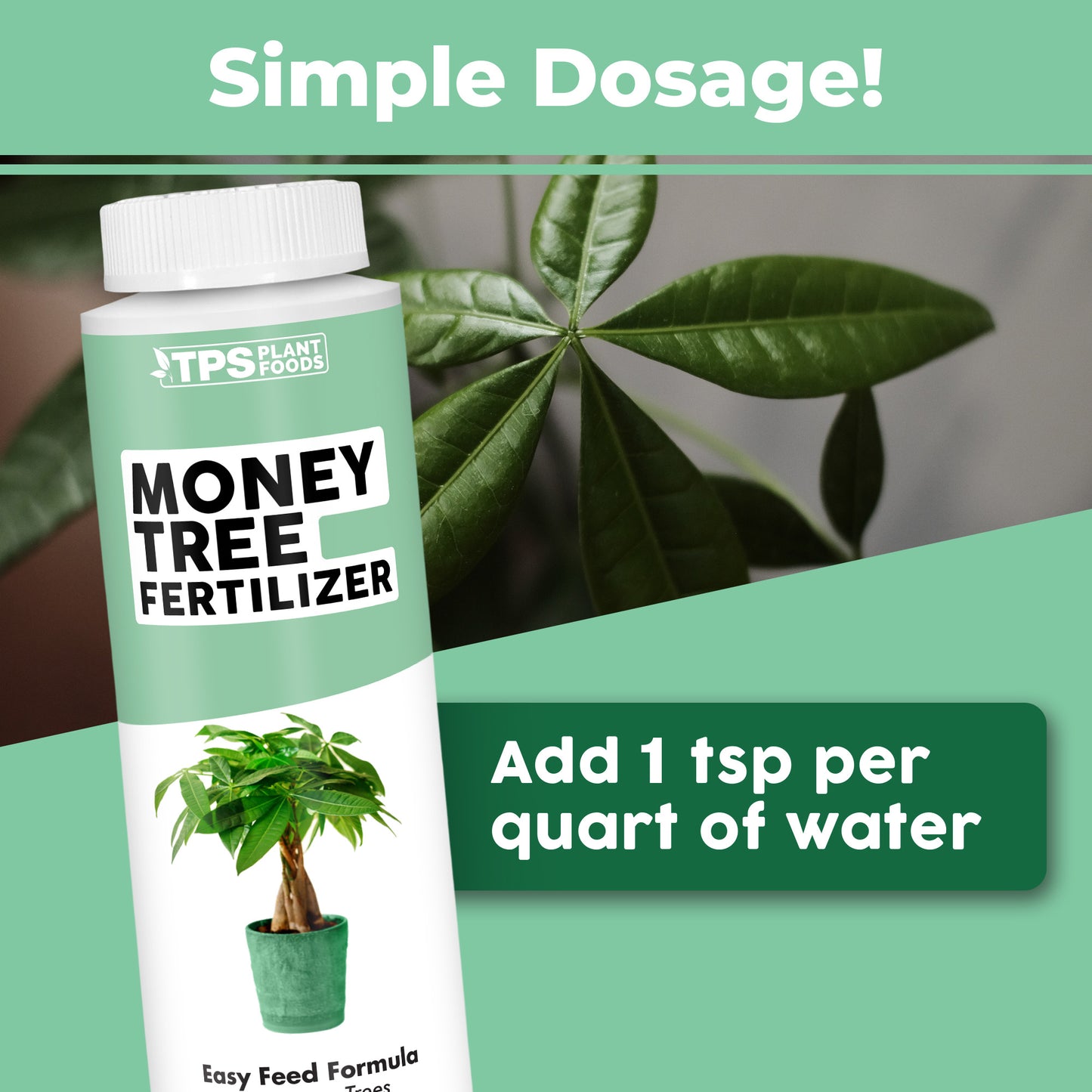 Money Tree Fertilizer