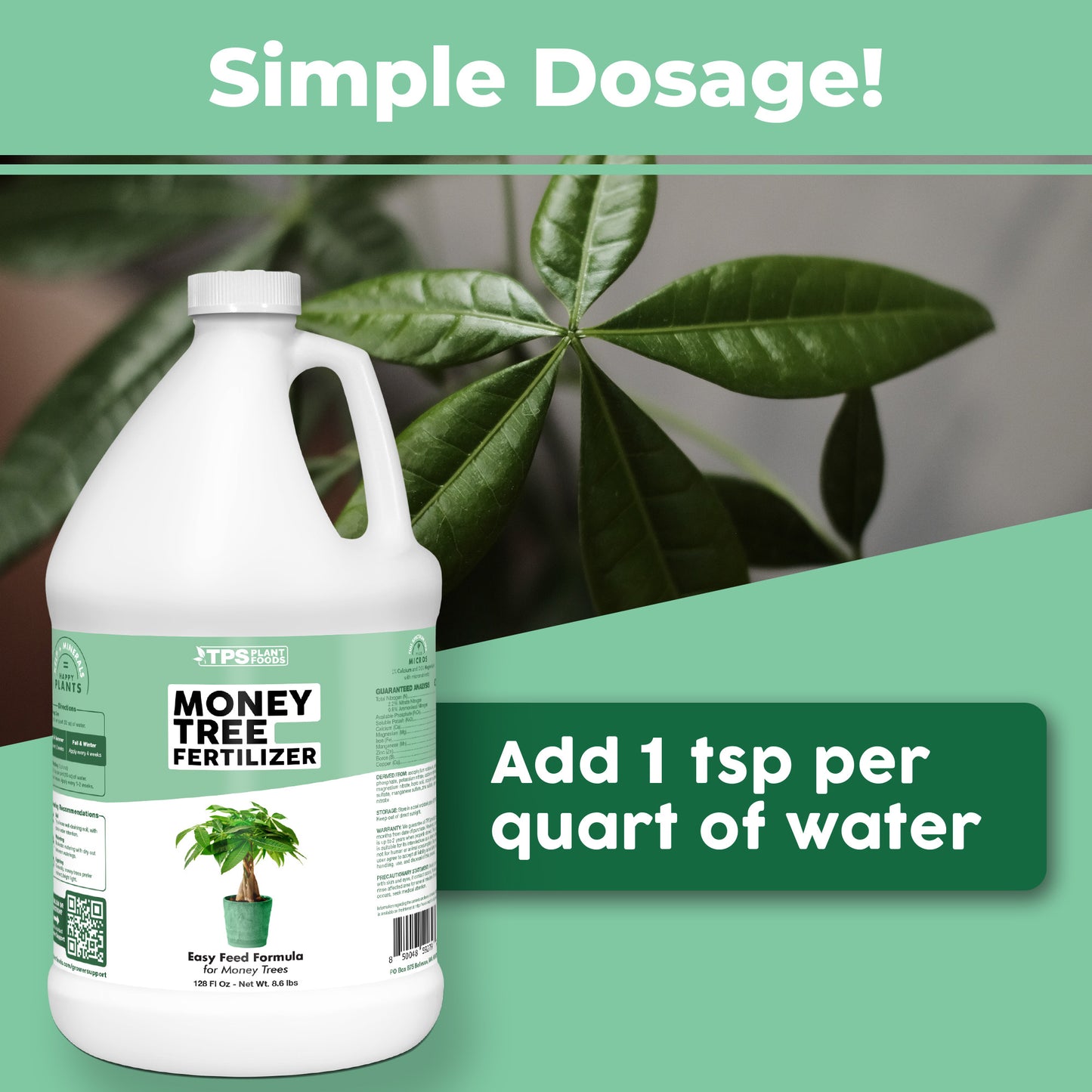Money Tree Fertilizer