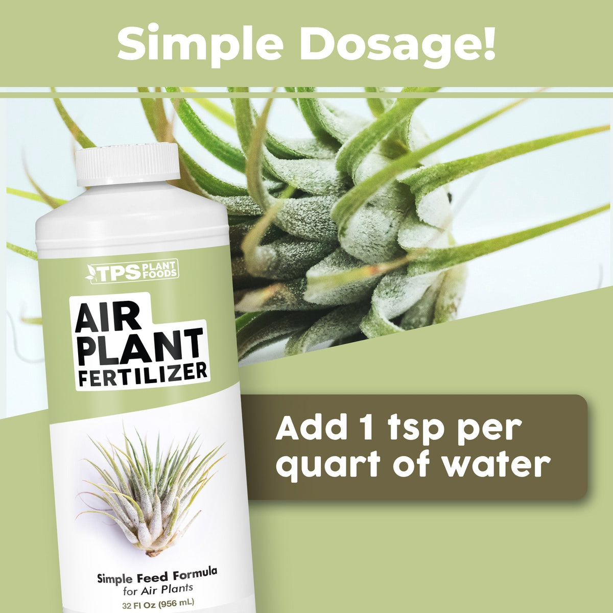 Air Plant Fertilizer - 32 Ounce