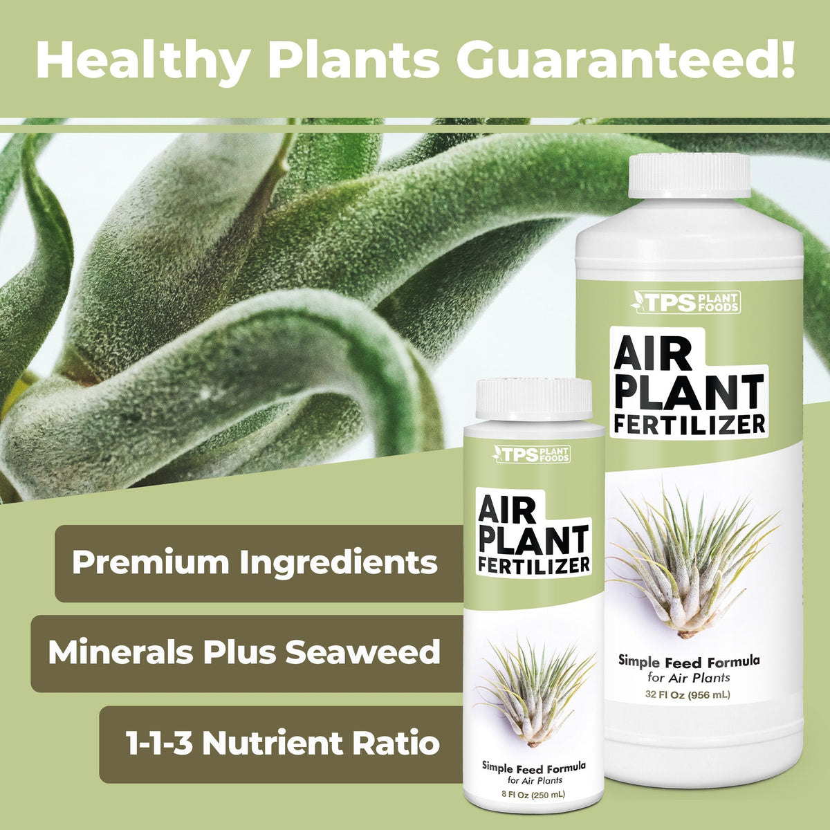 How to use and apply Air Plant Fertilizer