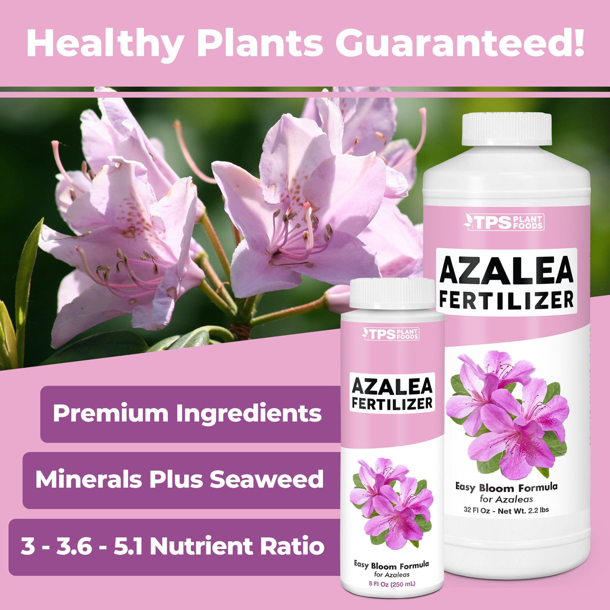 How to use and apply Azalea Fertilizer