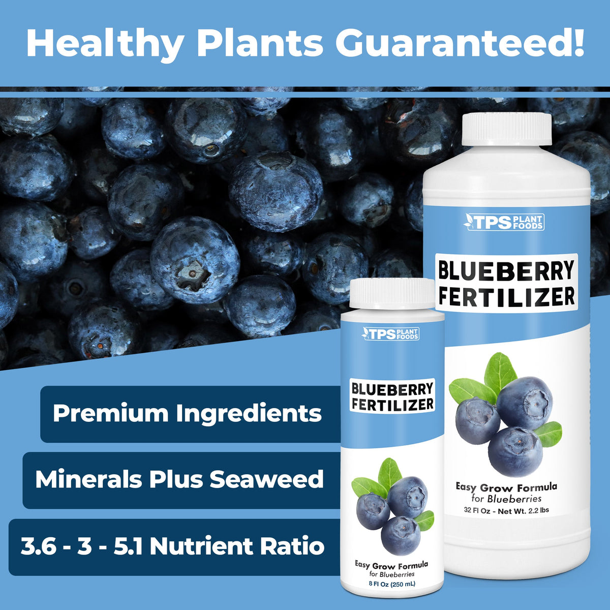 How to use and apply Blueberry Fertilizer