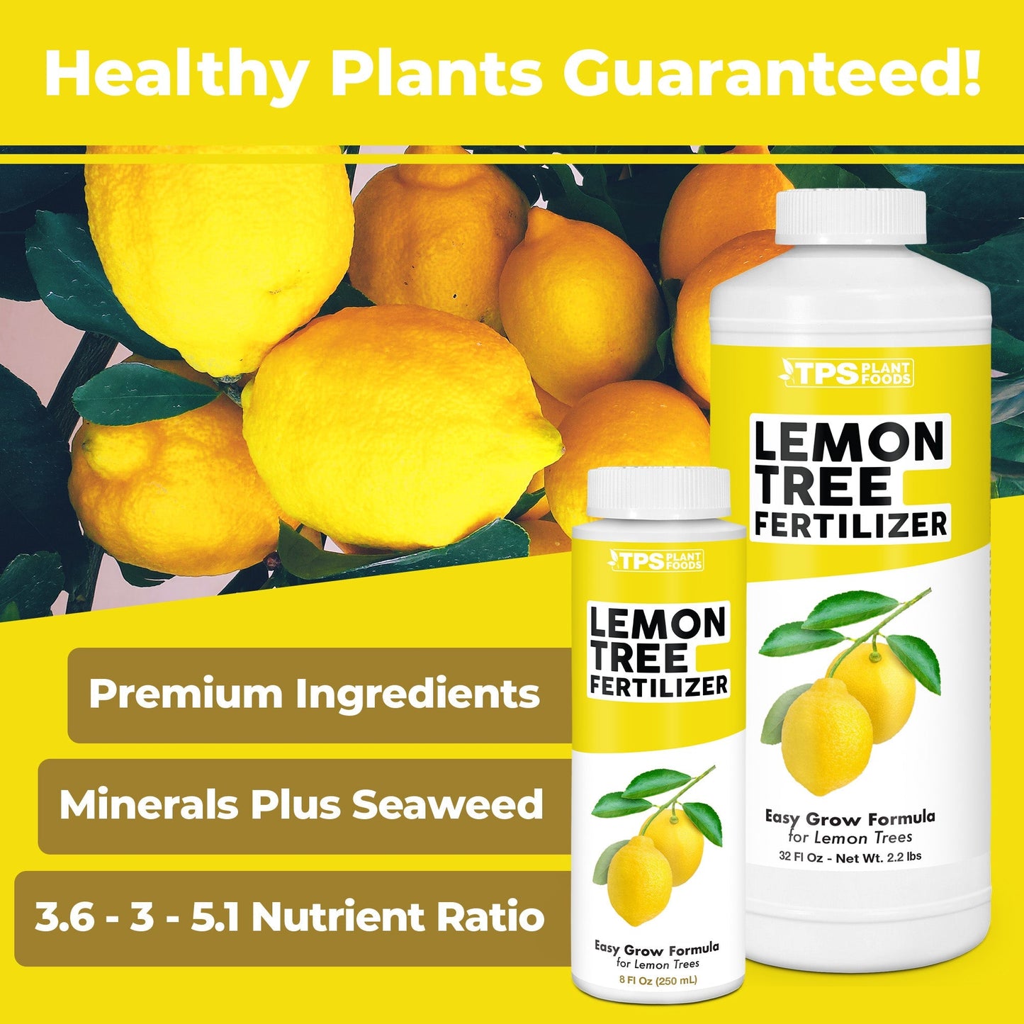 How to use and apply Lemon Tree Fertilizer