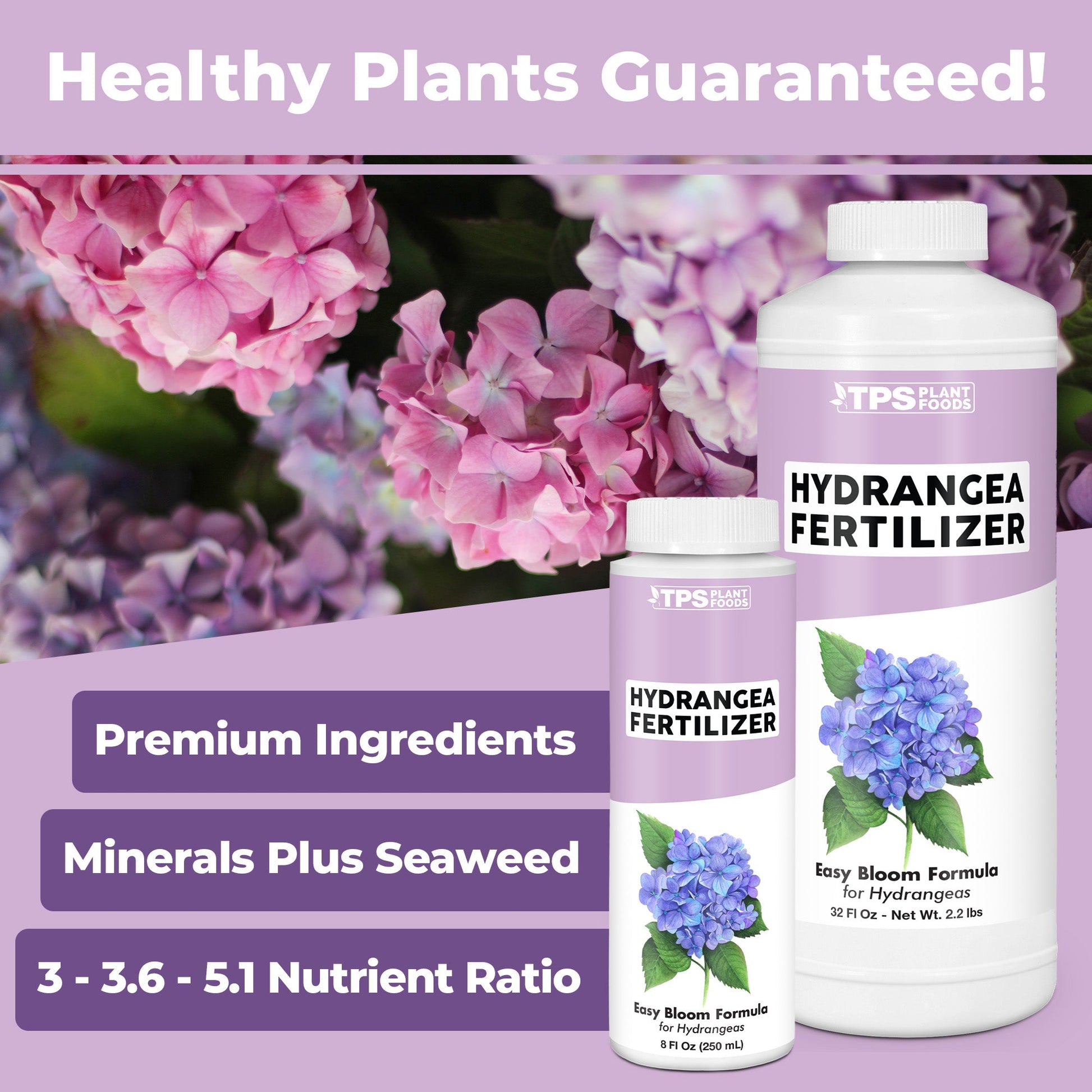 How to use and apply Hydrangea Fertilizer