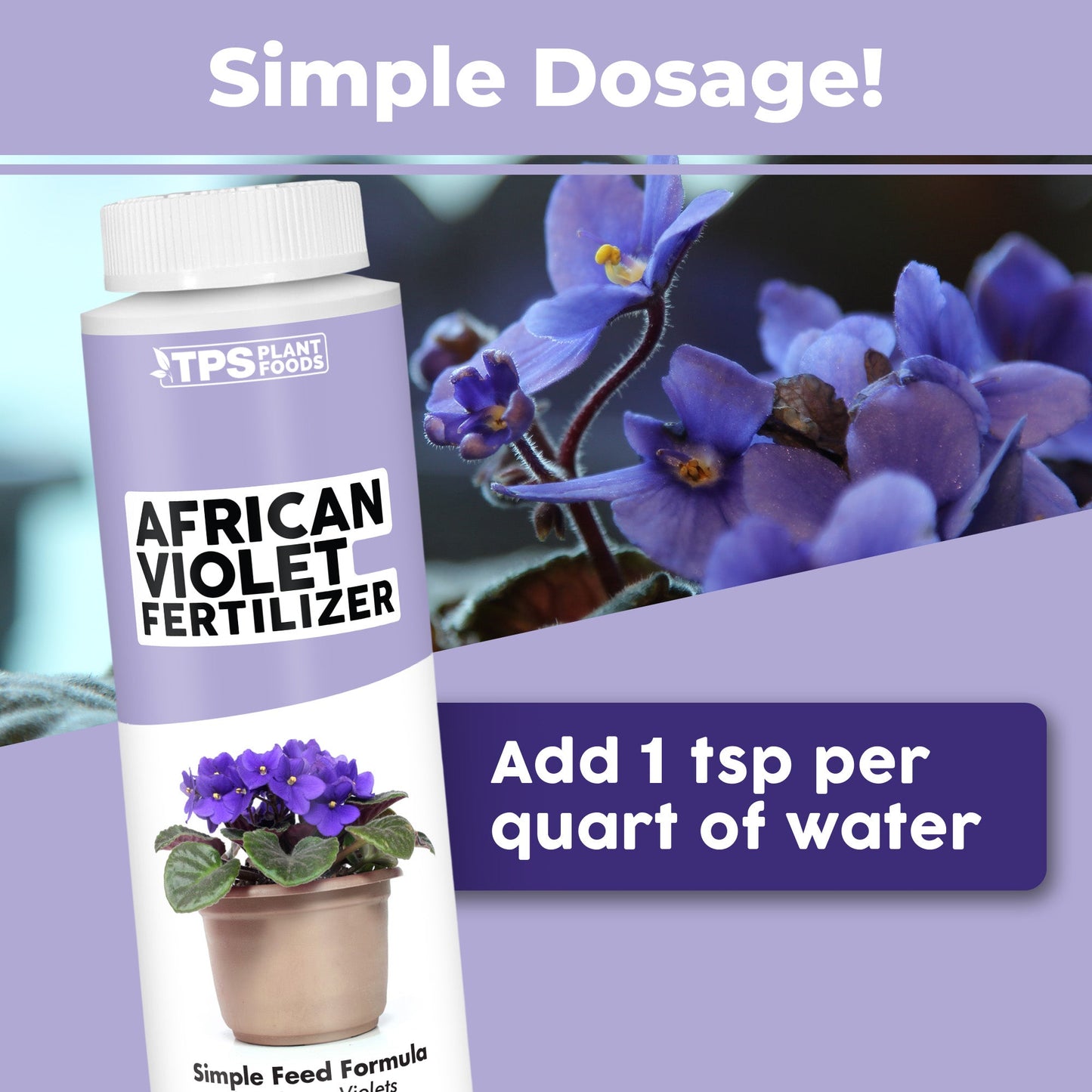 Key benefits and healthy growth features of African Violet Fertilizer