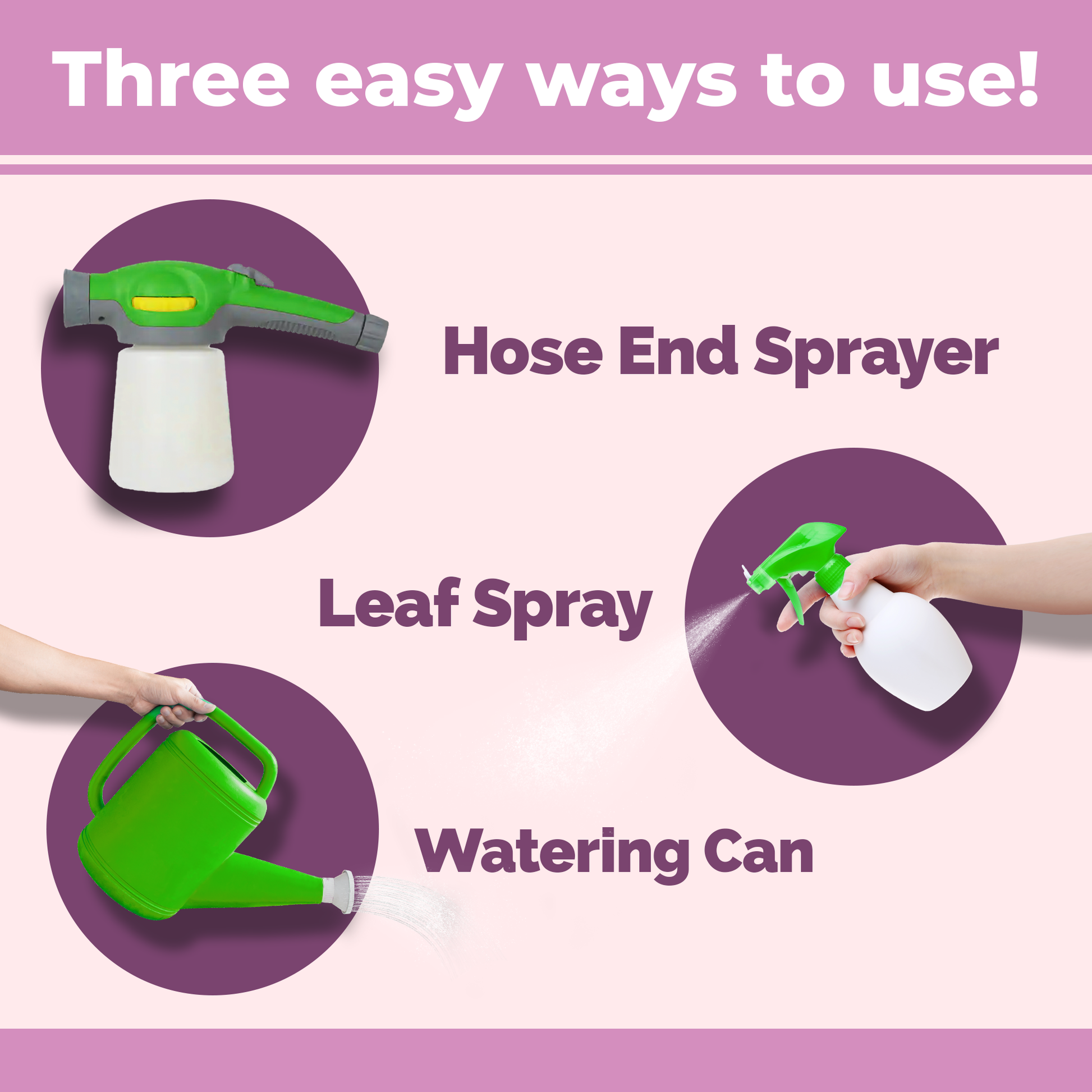 How to use and apply Rose Fertilizer
