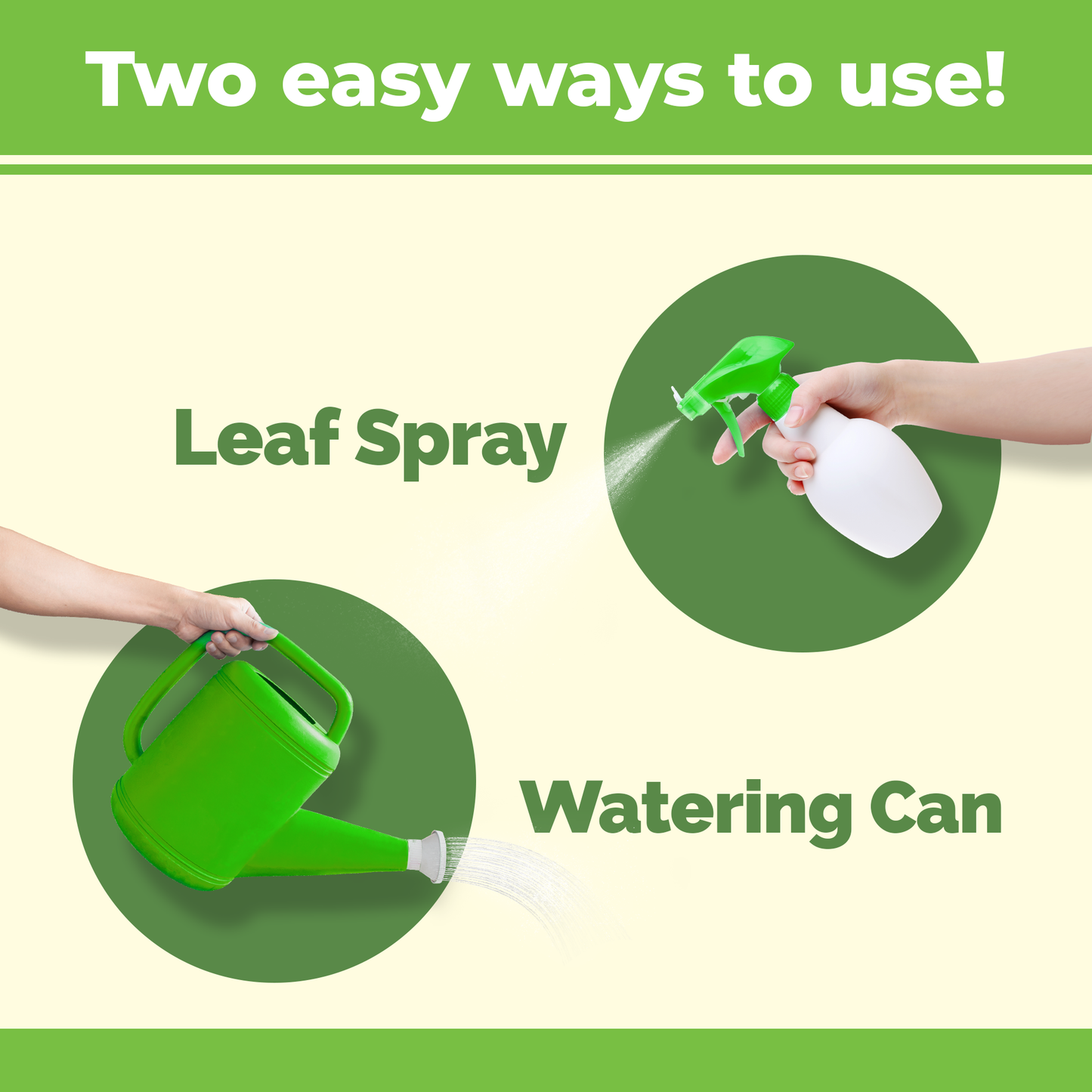 How to use and apply Fern Fertilizer