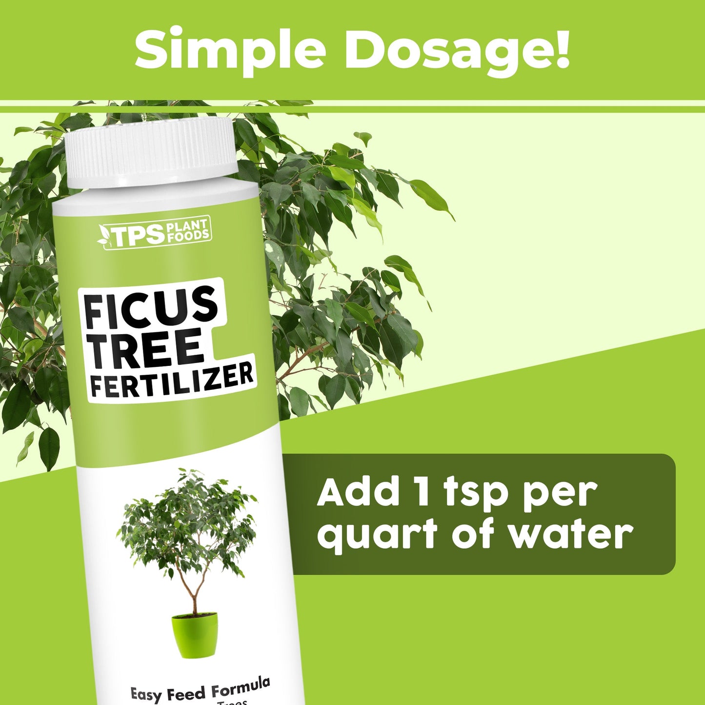 Key benefits and healthy growth features of Ficus Fertilizer