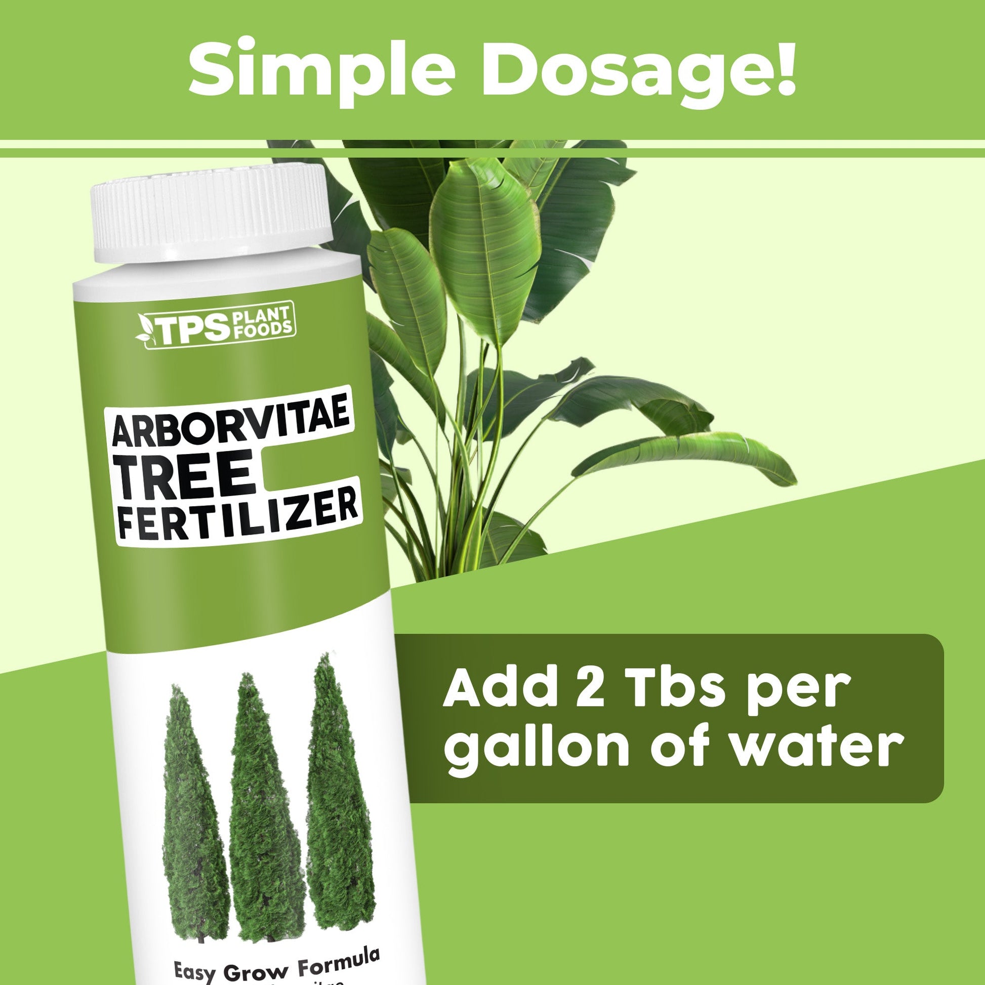 Key benefits and healthy growth features of Arborvitae Fertilizer