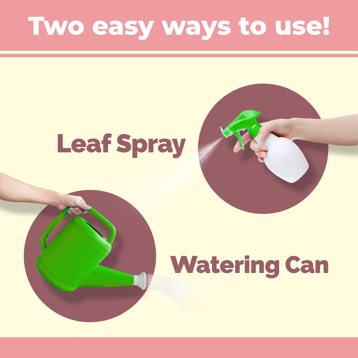 How to use and apply Philodendron Fertilizer